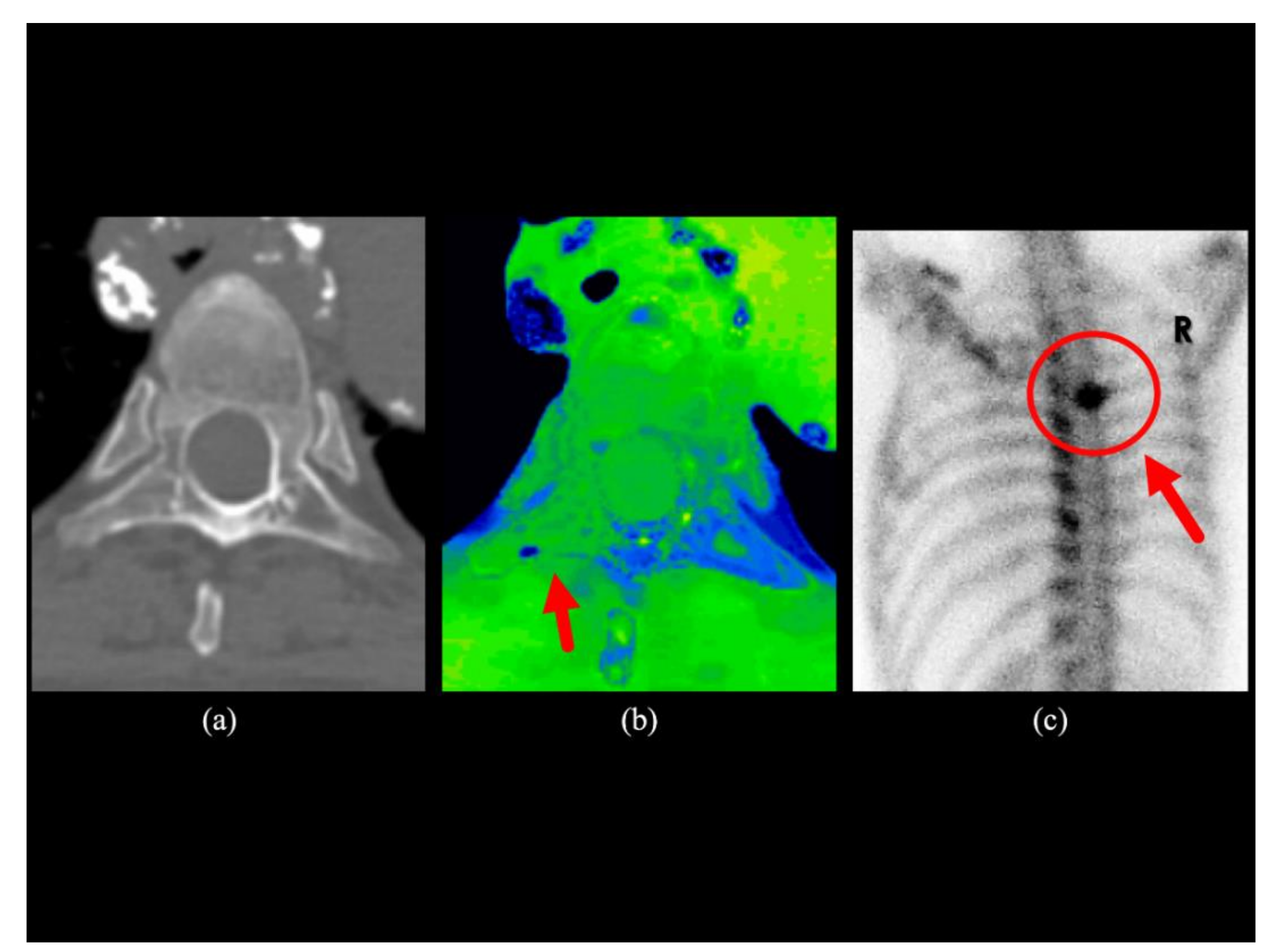 Diagnostics 10 00853 g004 Diagnostics 10 00853 g004