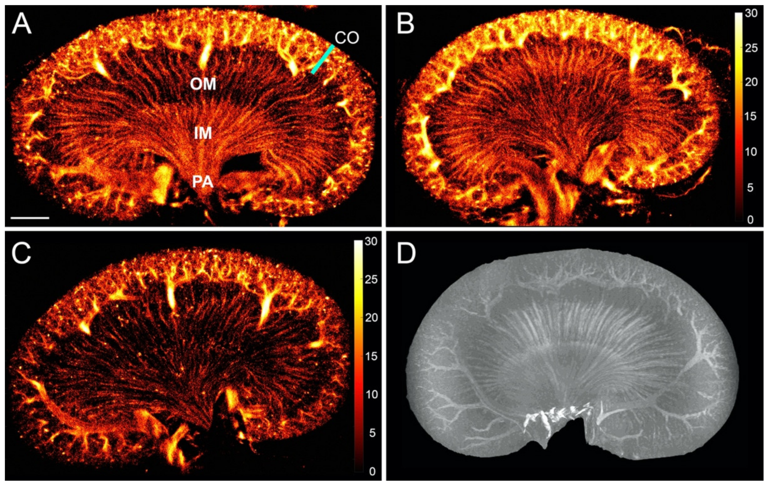 Diagnostics 10 00862 g002 Diagnostics 10 00862 g002