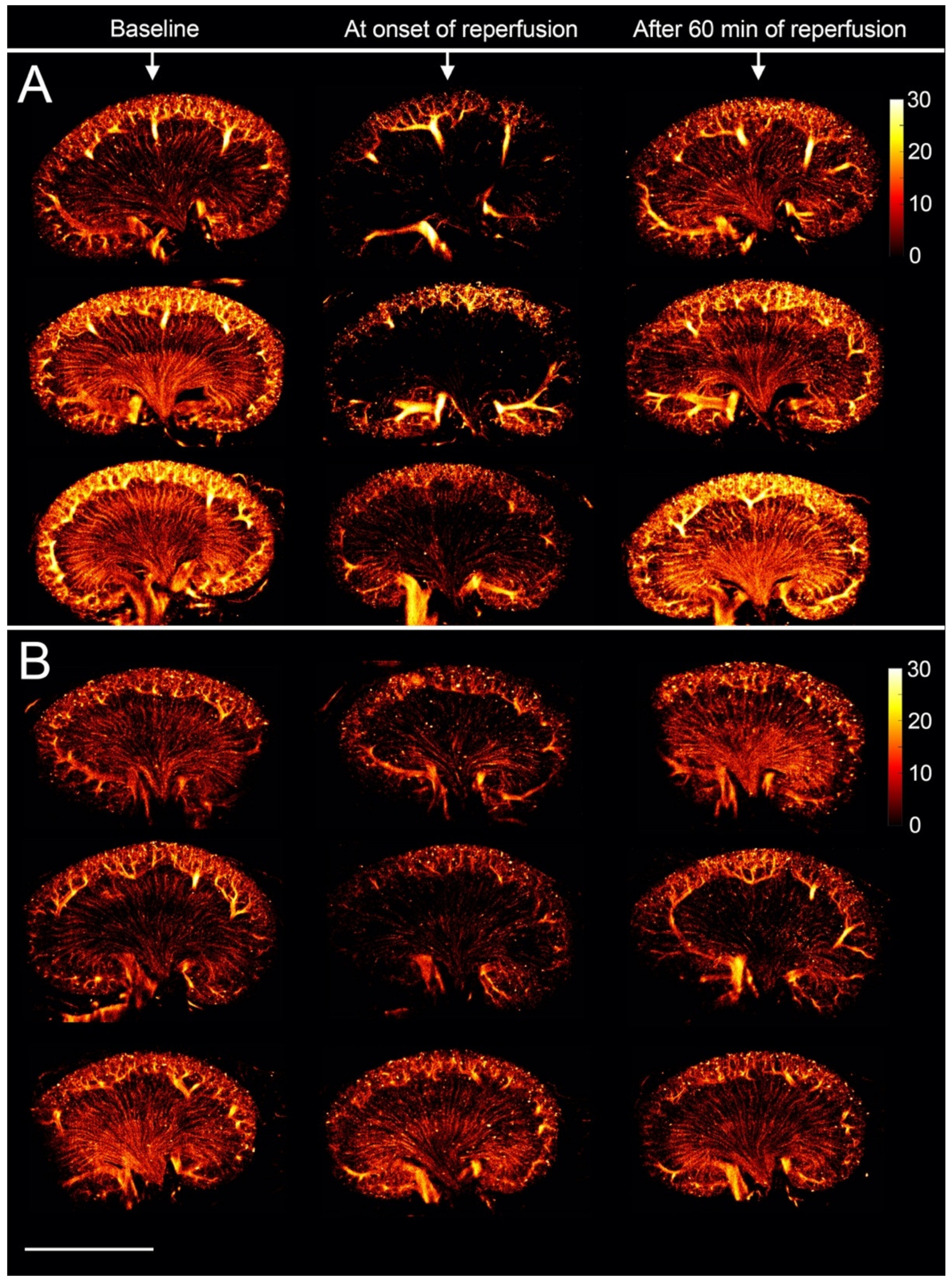 Diagnostics 10 00862 g004 Diagnostics 10 00862 g004