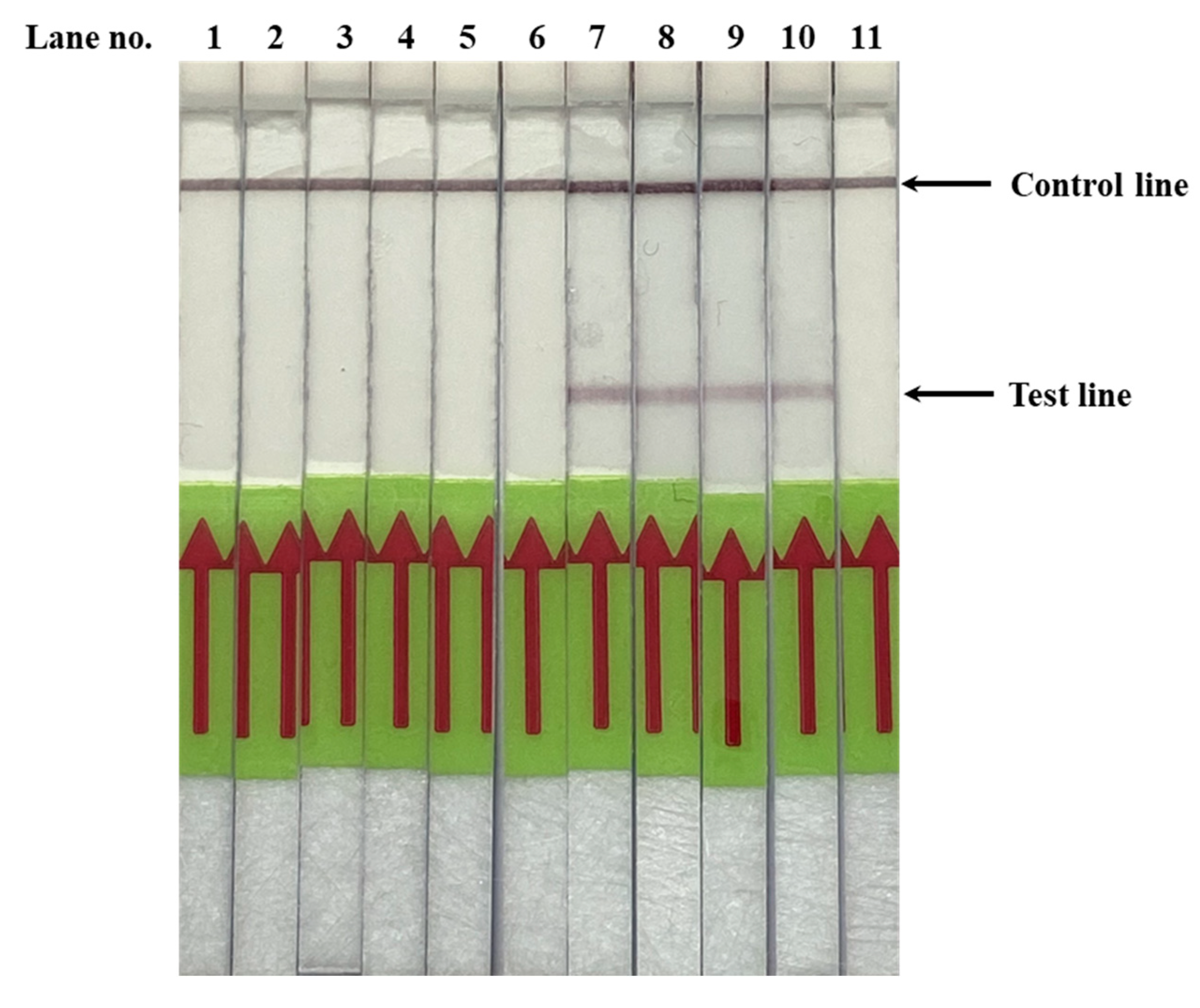 Diagnostics 10 00948 g003 Diagnostics 10 00948 g003