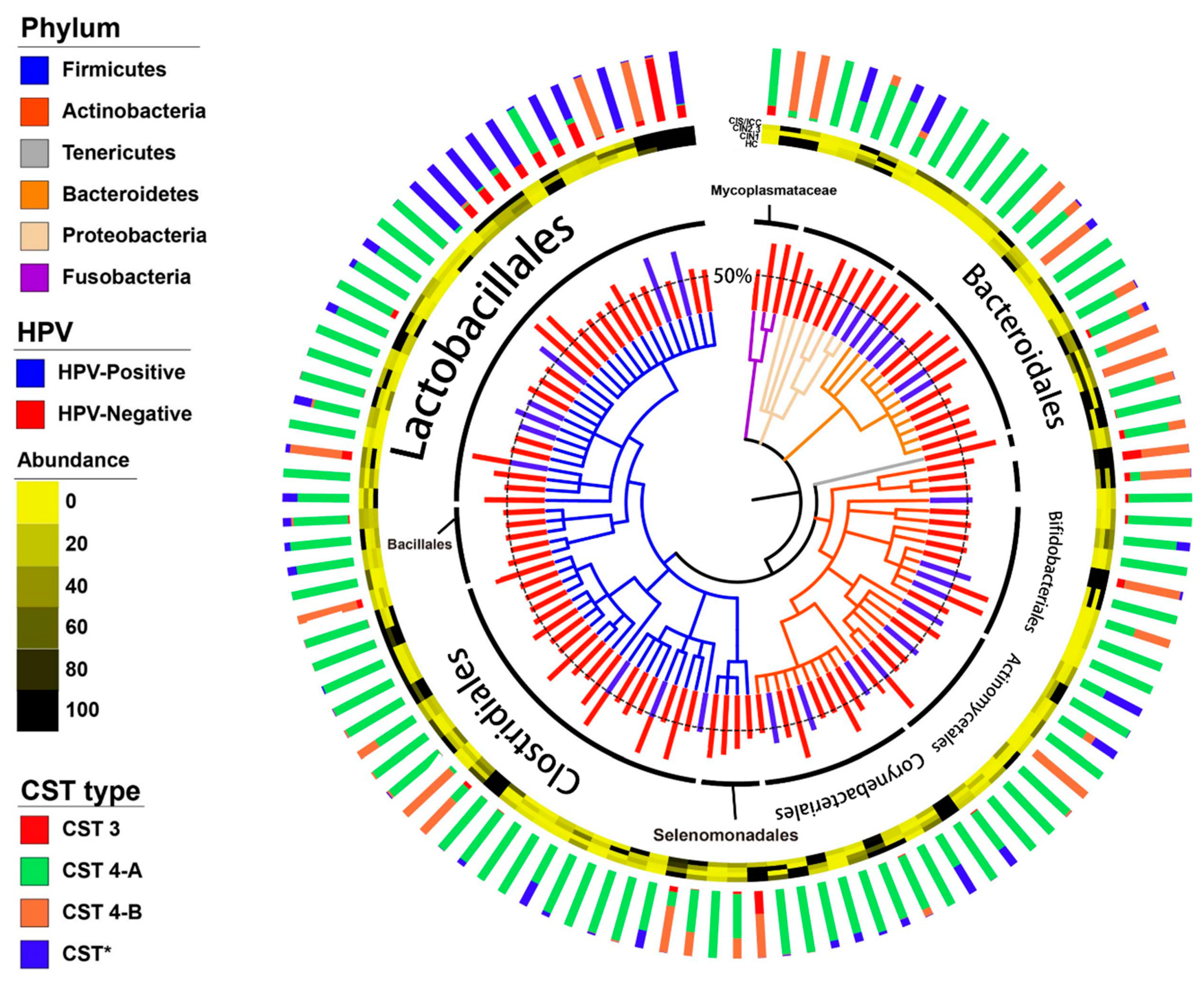 Diagnostics 10 01013 g001