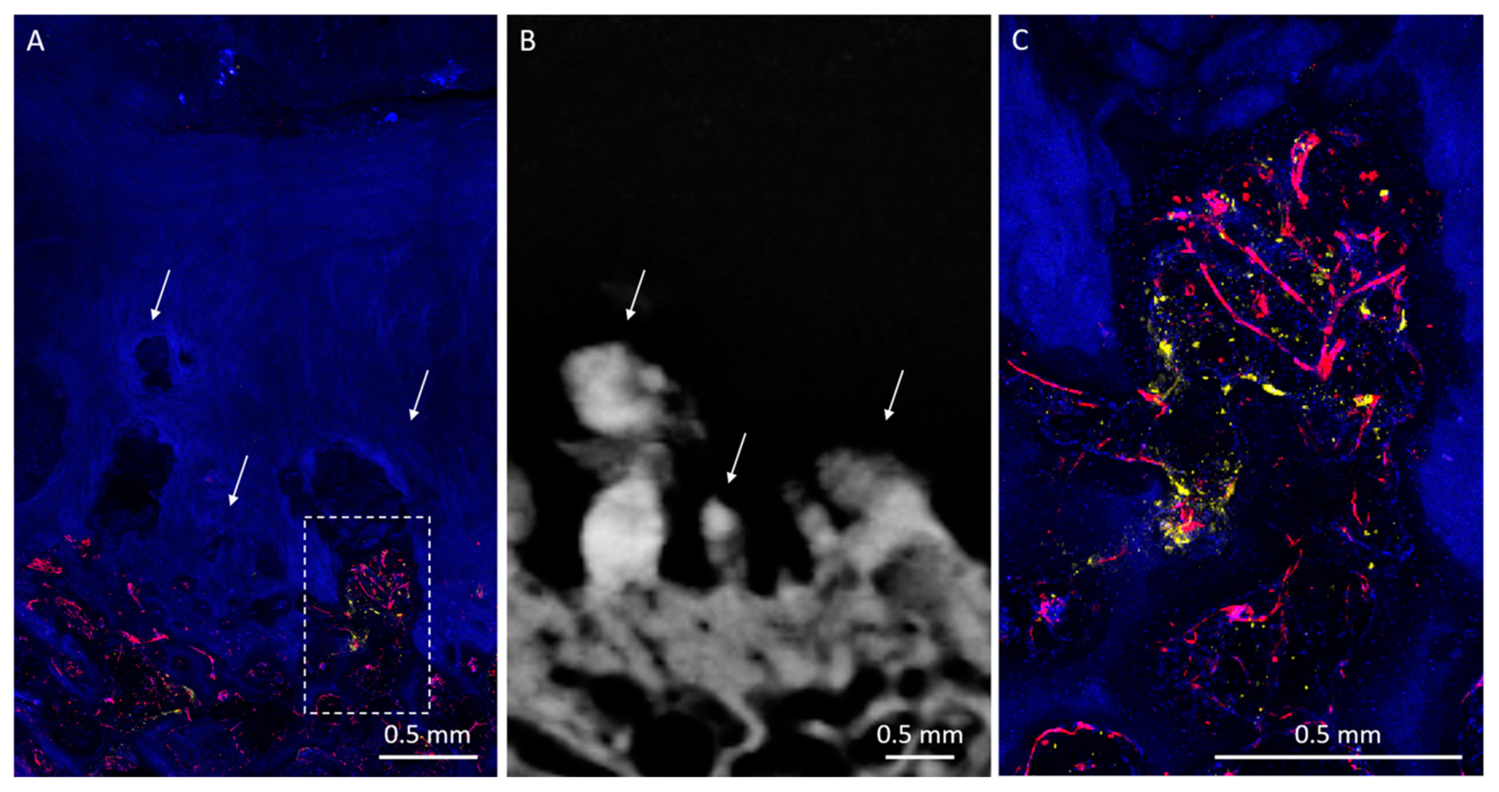 Diagnostics 10 01051 g003 Diagnostics 10 01051 g003