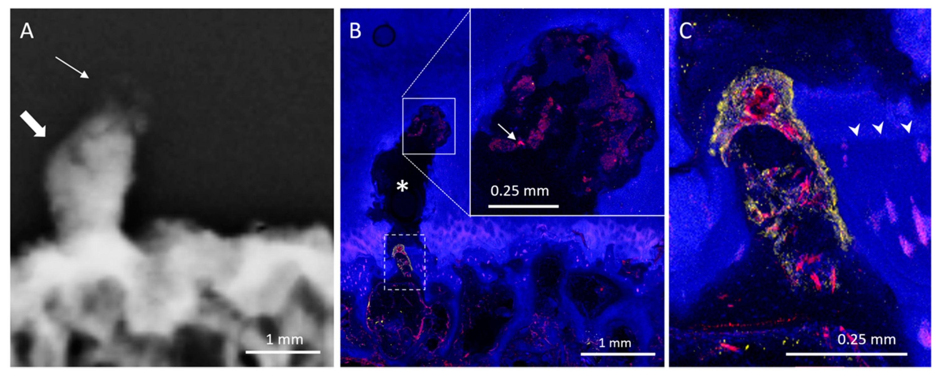 Diagnostics 10 01051 g005 Diagnostics 10 01051 g005