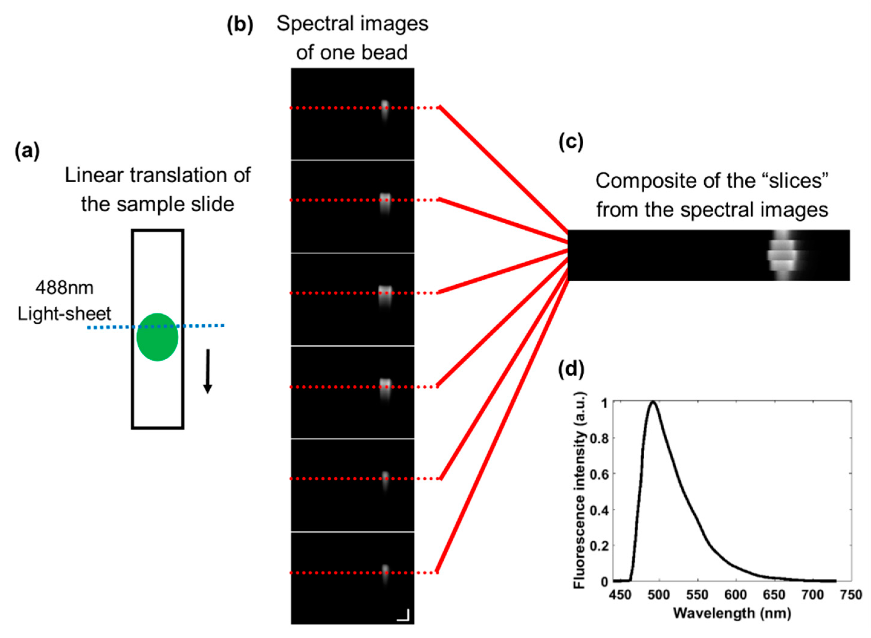Diagnostics 10 01082 g002 Diagnostics 10 01082 g002