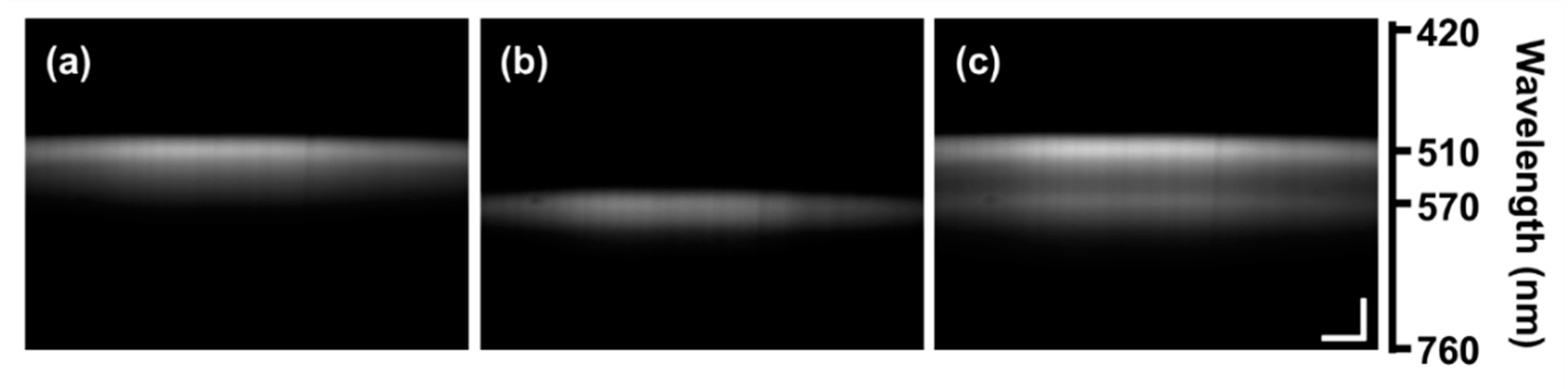 Diagnostics 10 01082 g003 Diagnostics 10 01082 g003