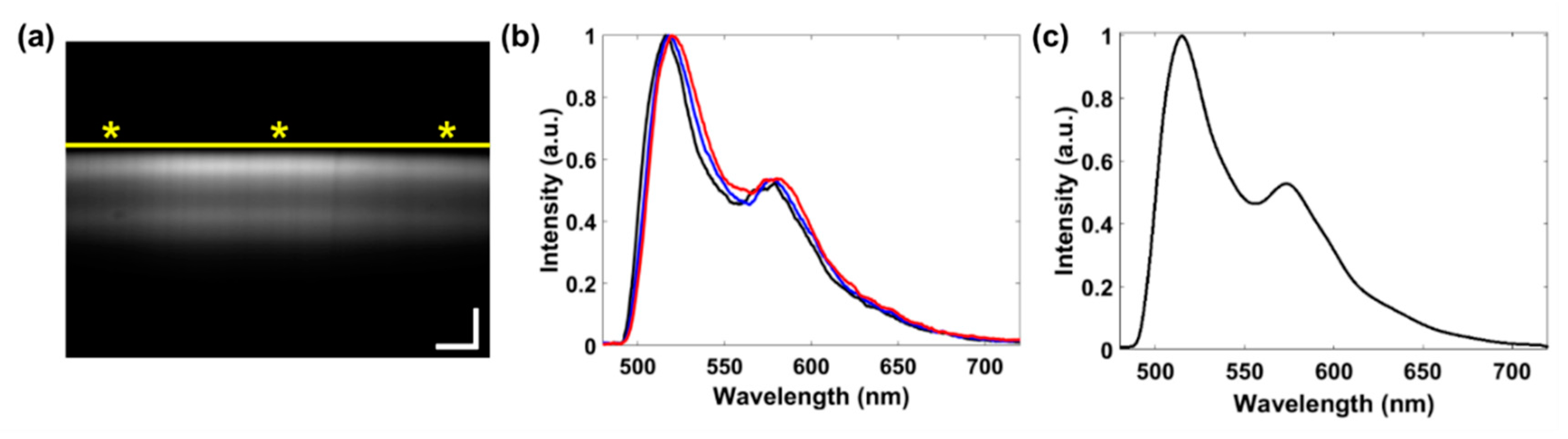 Diagnostics 10 01082 g005 Diagnostics 10 01082 g005