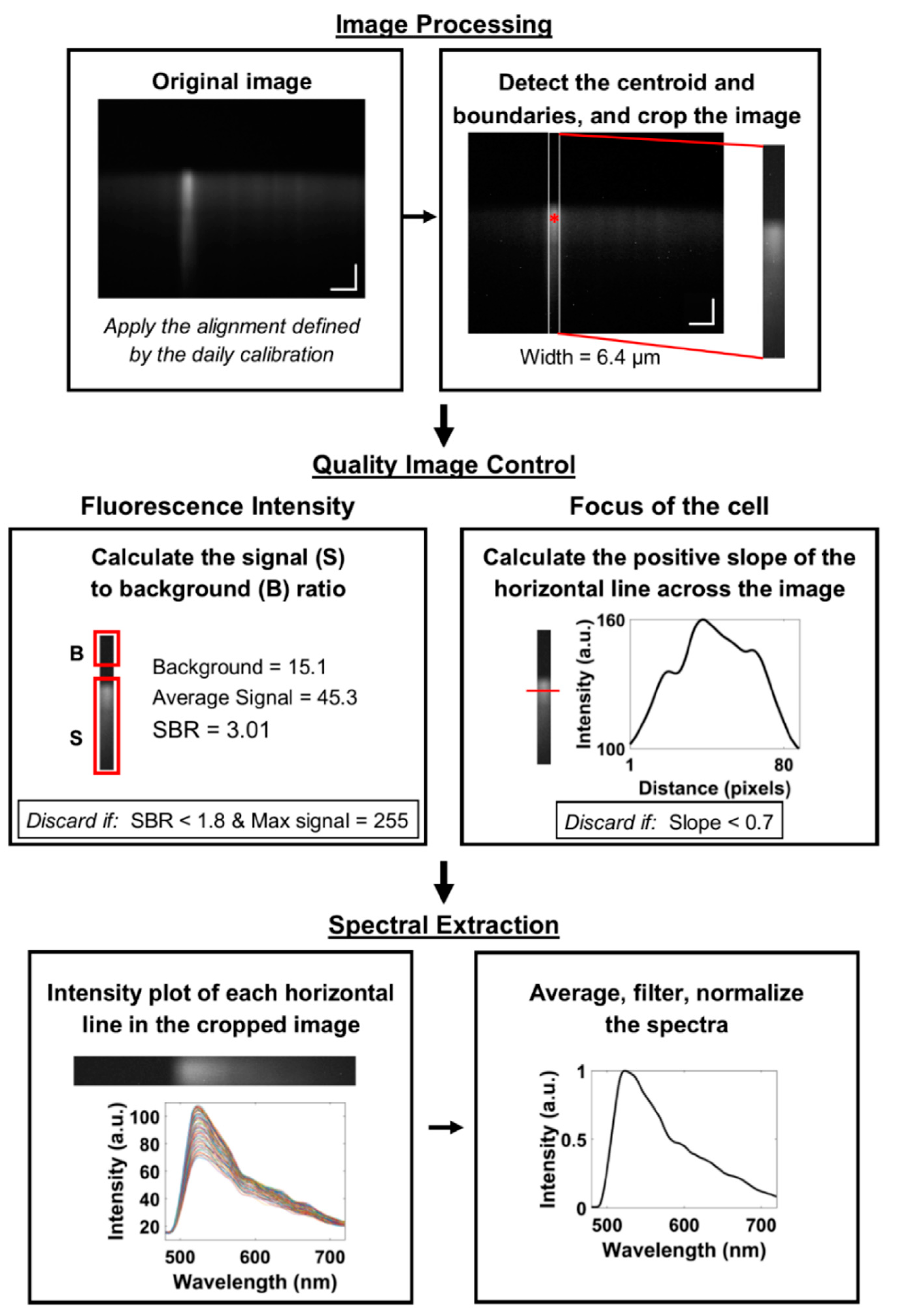Diagnostics 10 01082 g006 Diagnostics 10 01082 g006