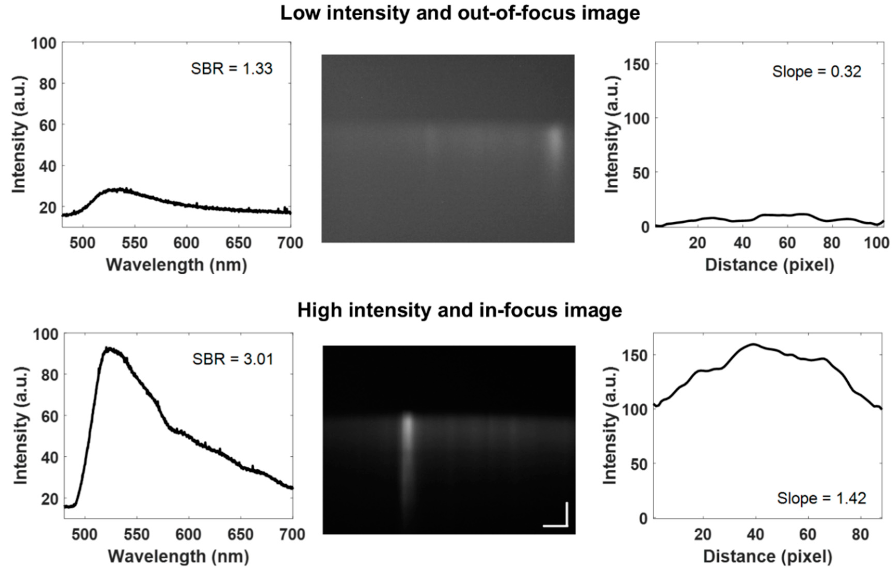 Diagnostics 10 01082 g007 Diagnostics 10 01082 g007