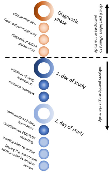 Figure 5  fMRI Artefact Rejection and Sleep Scoring Toolbox