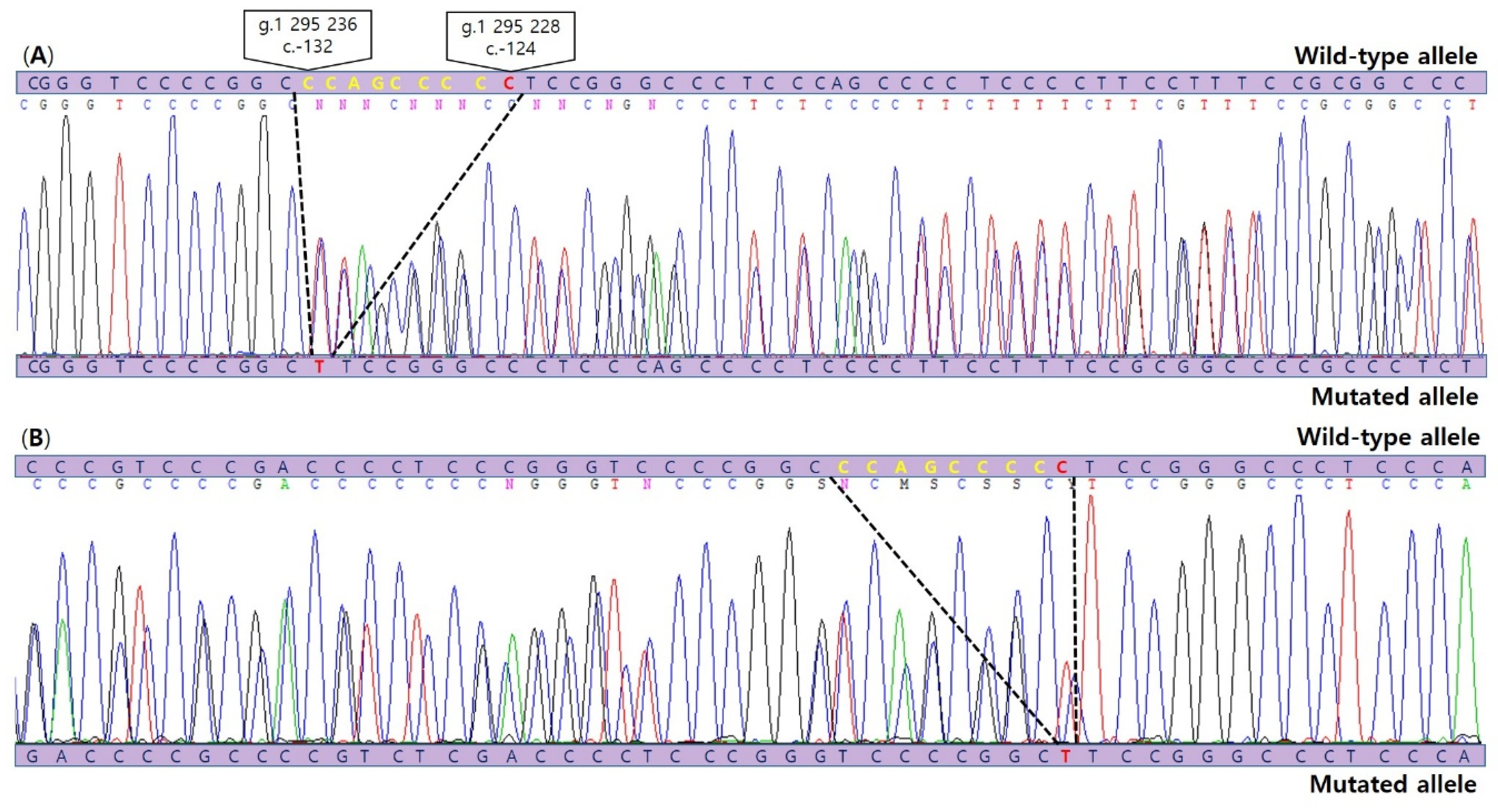Diagnostics 11 00004 g003 Diagnostics 11 00004 g003