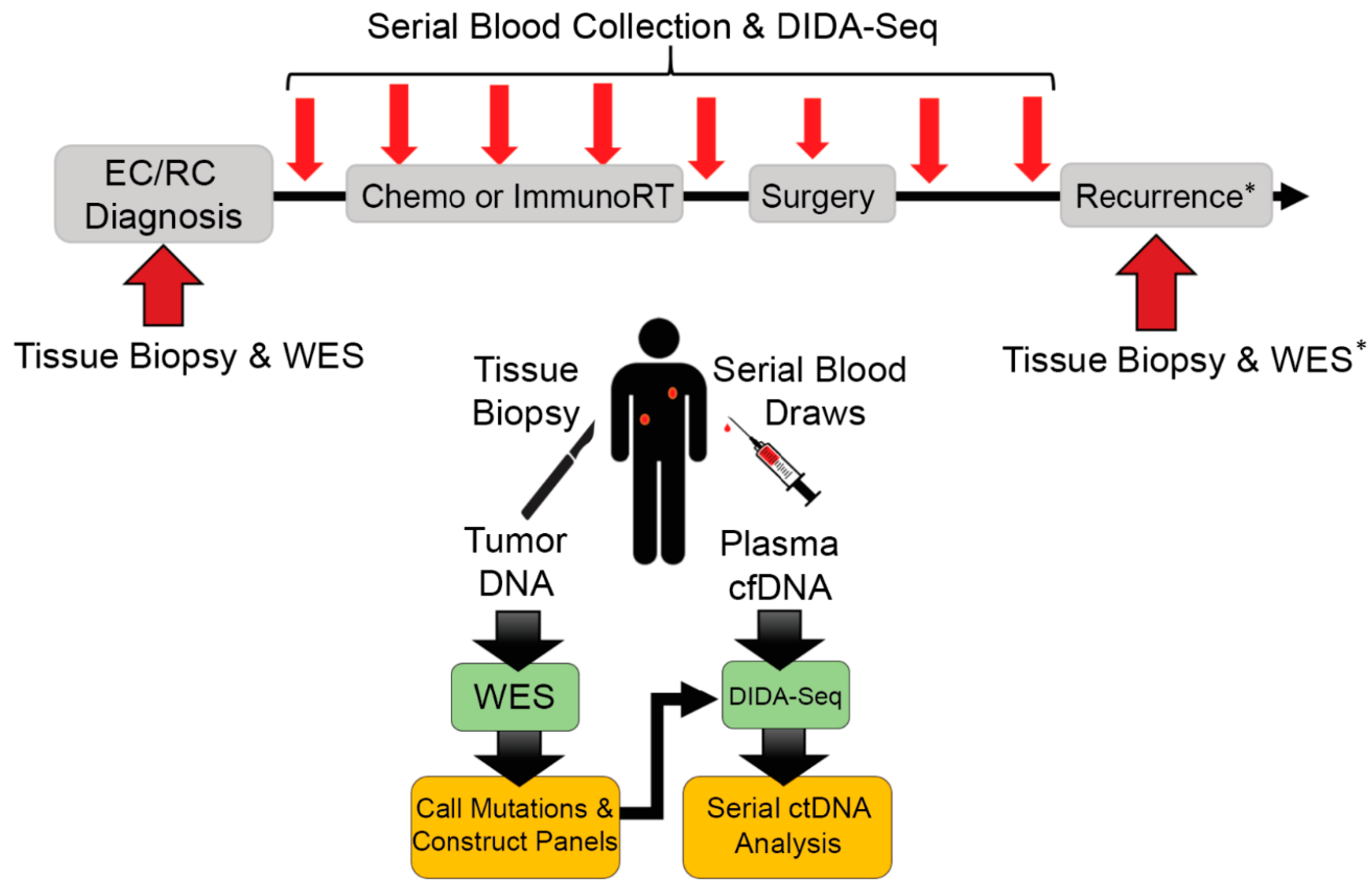 Diagnostics 11 00073 g001
