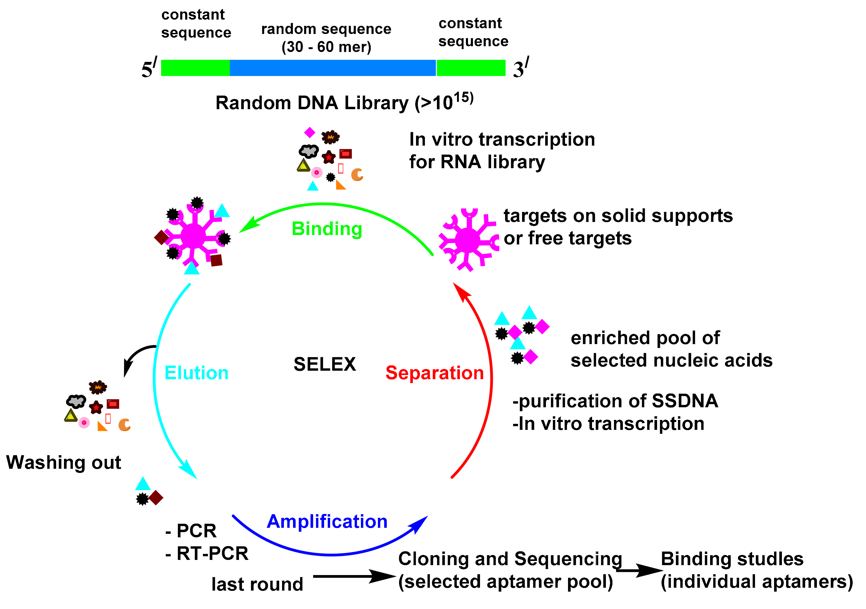Diagnostics 11 00104 sch001