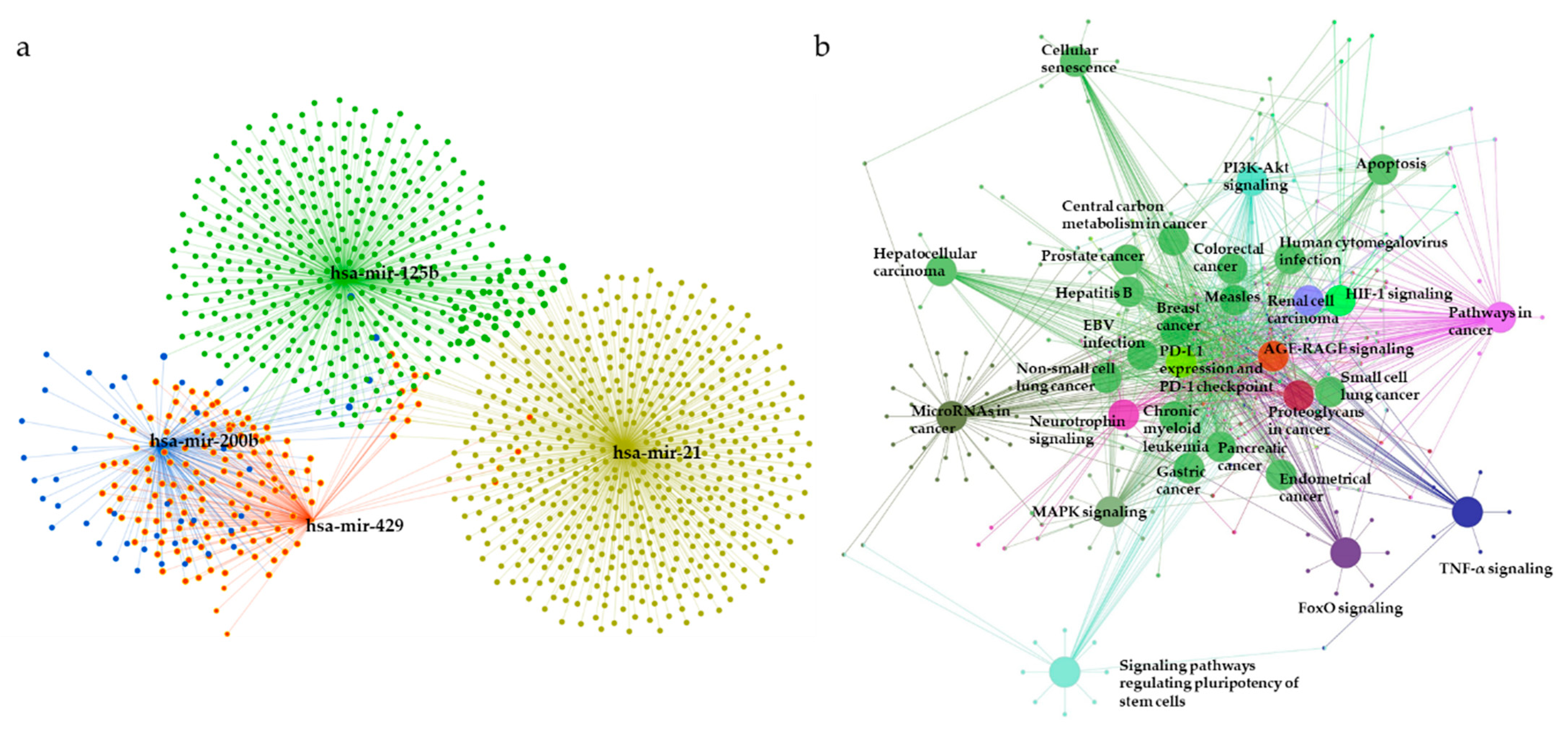 Diagnostics 11 00107 g007 Diagnostics 11 00107 g007