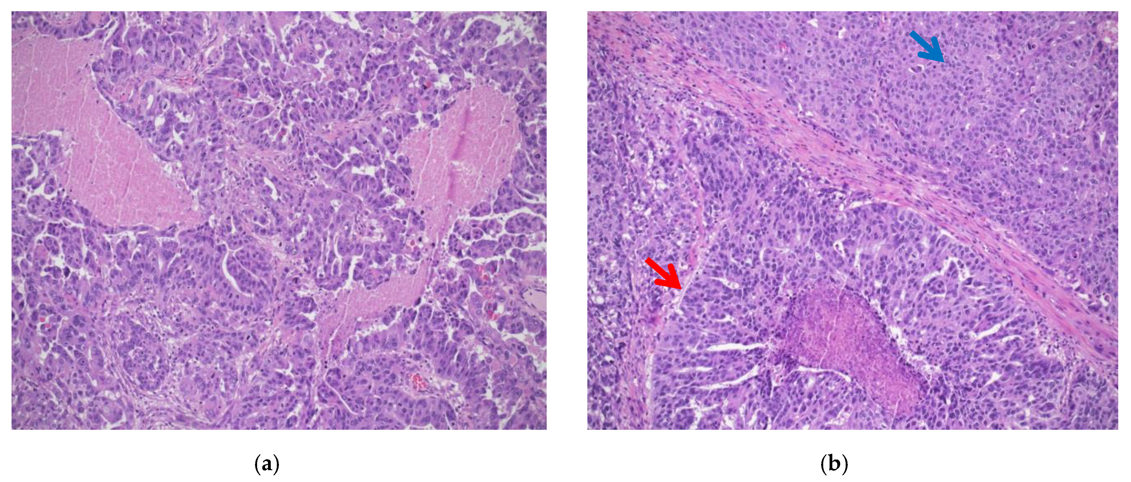 Diagnostics 11 00199 g001