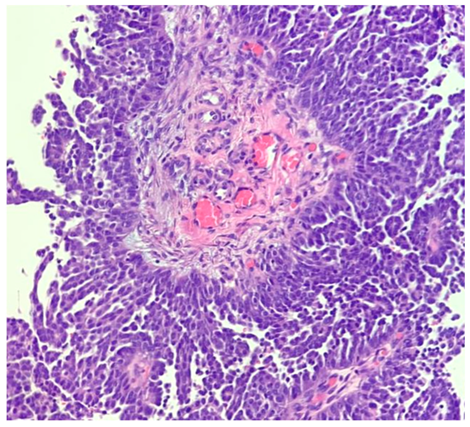 Diagnostics 11 00199 g004