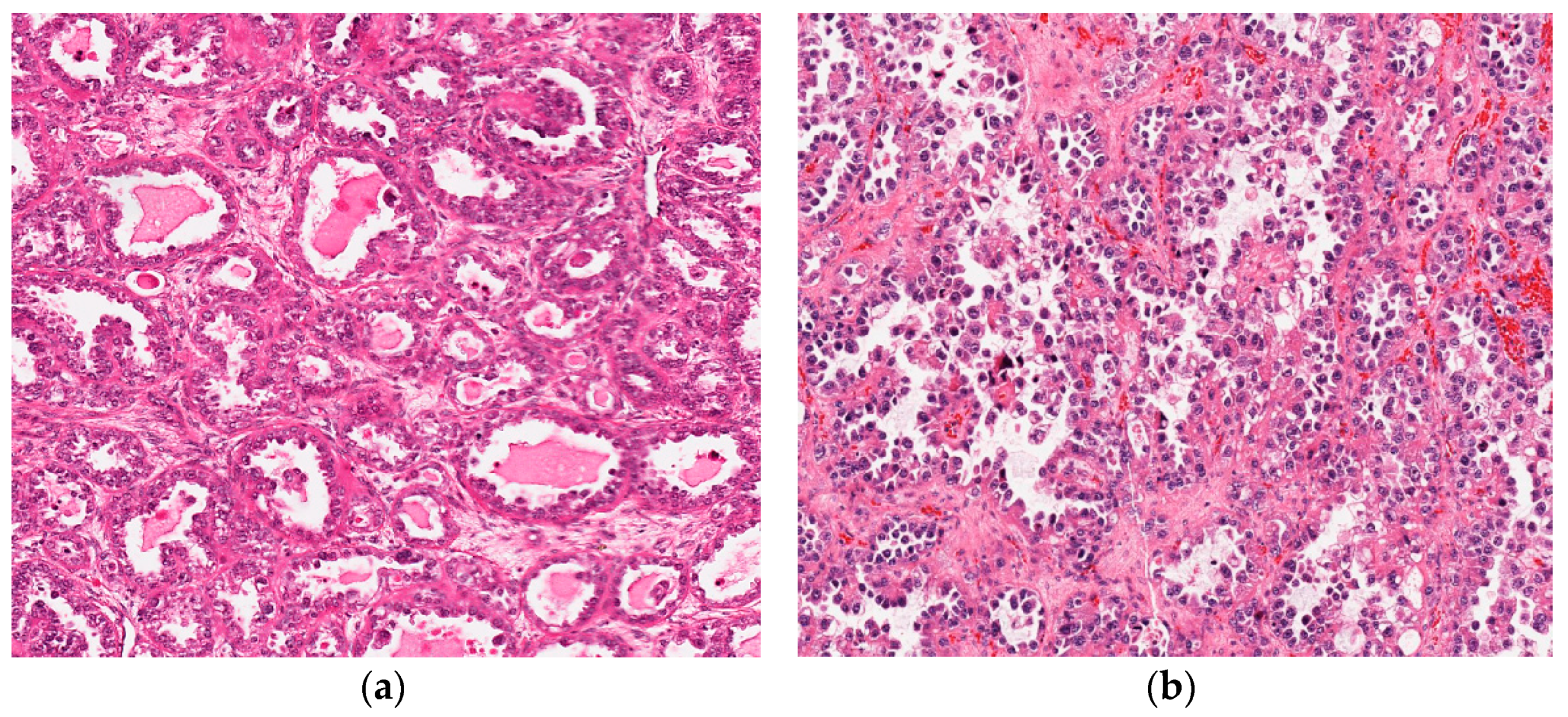 Diagnostics 11 00199 g007