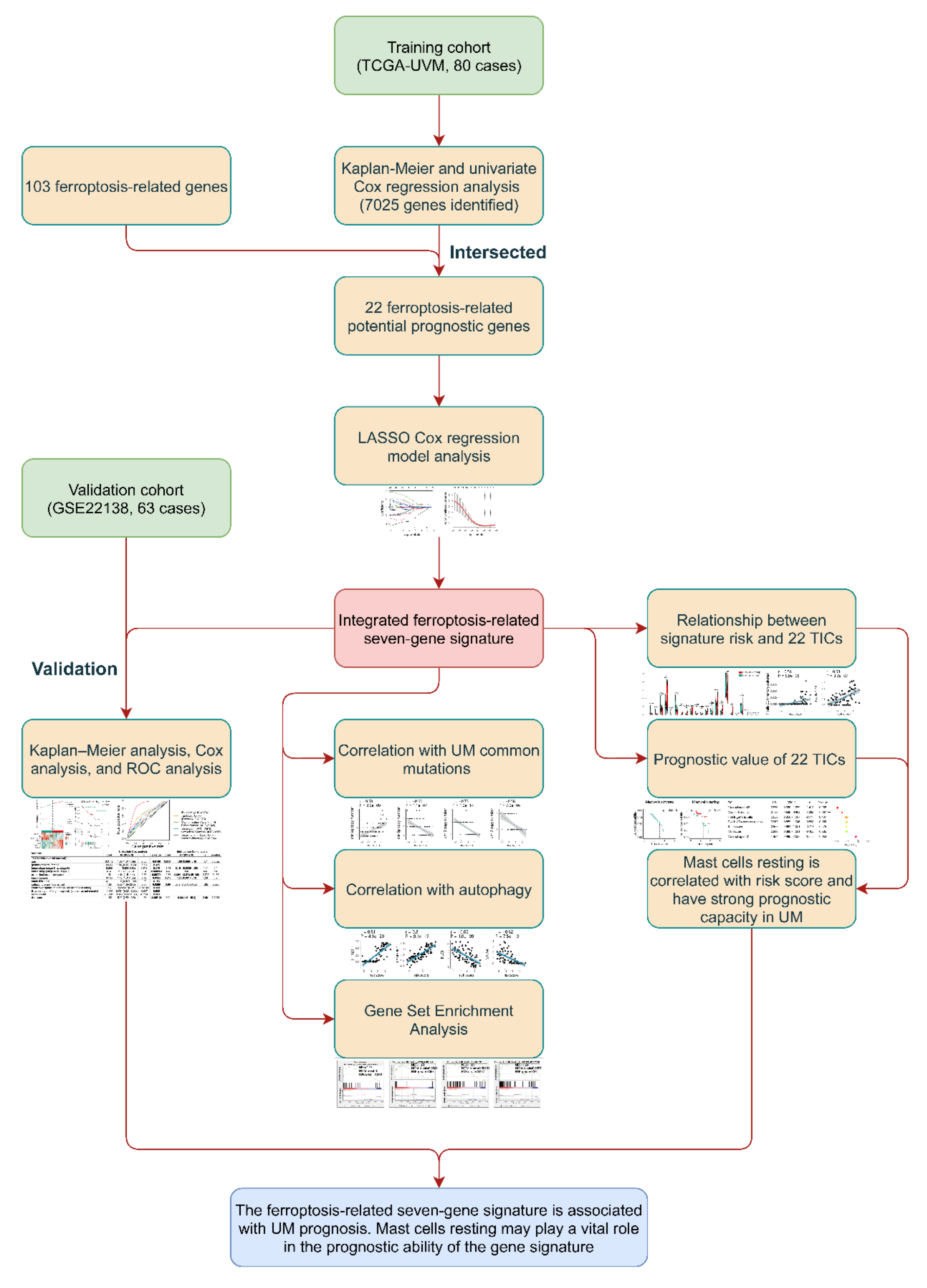 Diagnostics 11 00219 g001 Diagnostics 11 00219 g001