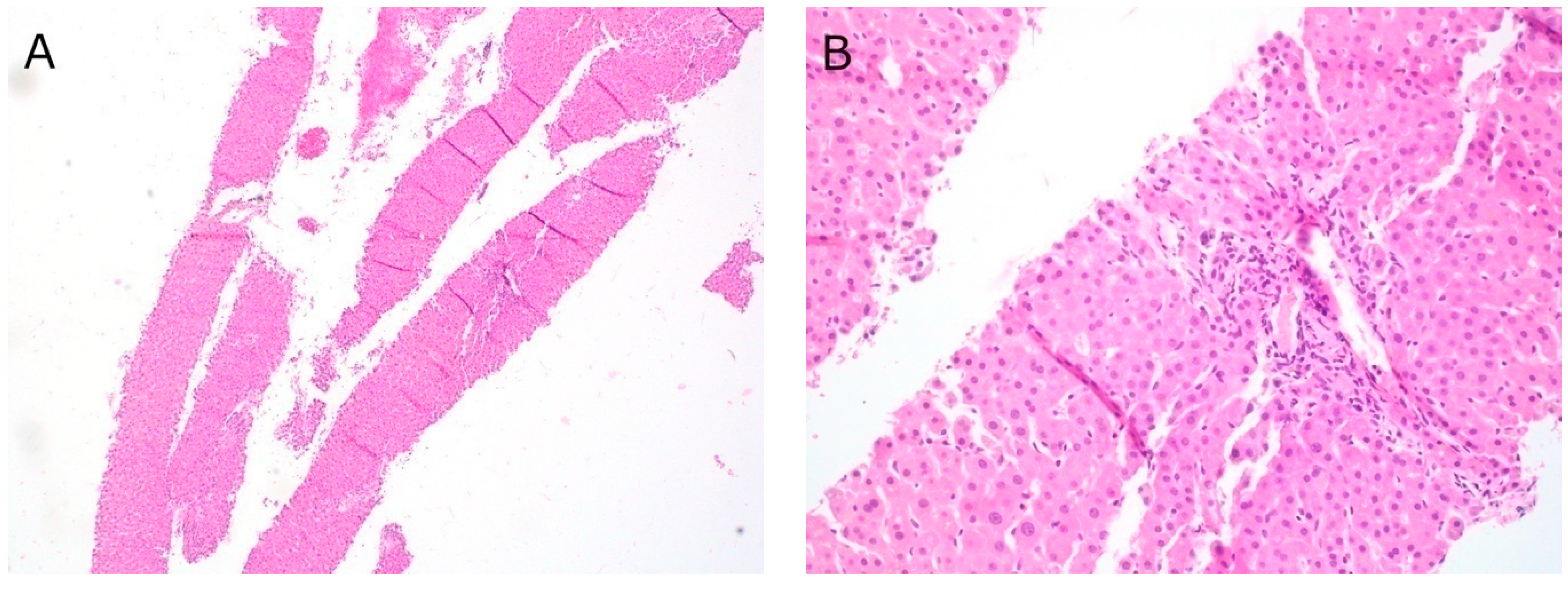 Diagnostics 11 00242 g002 Diagnostics 11 00242 g002