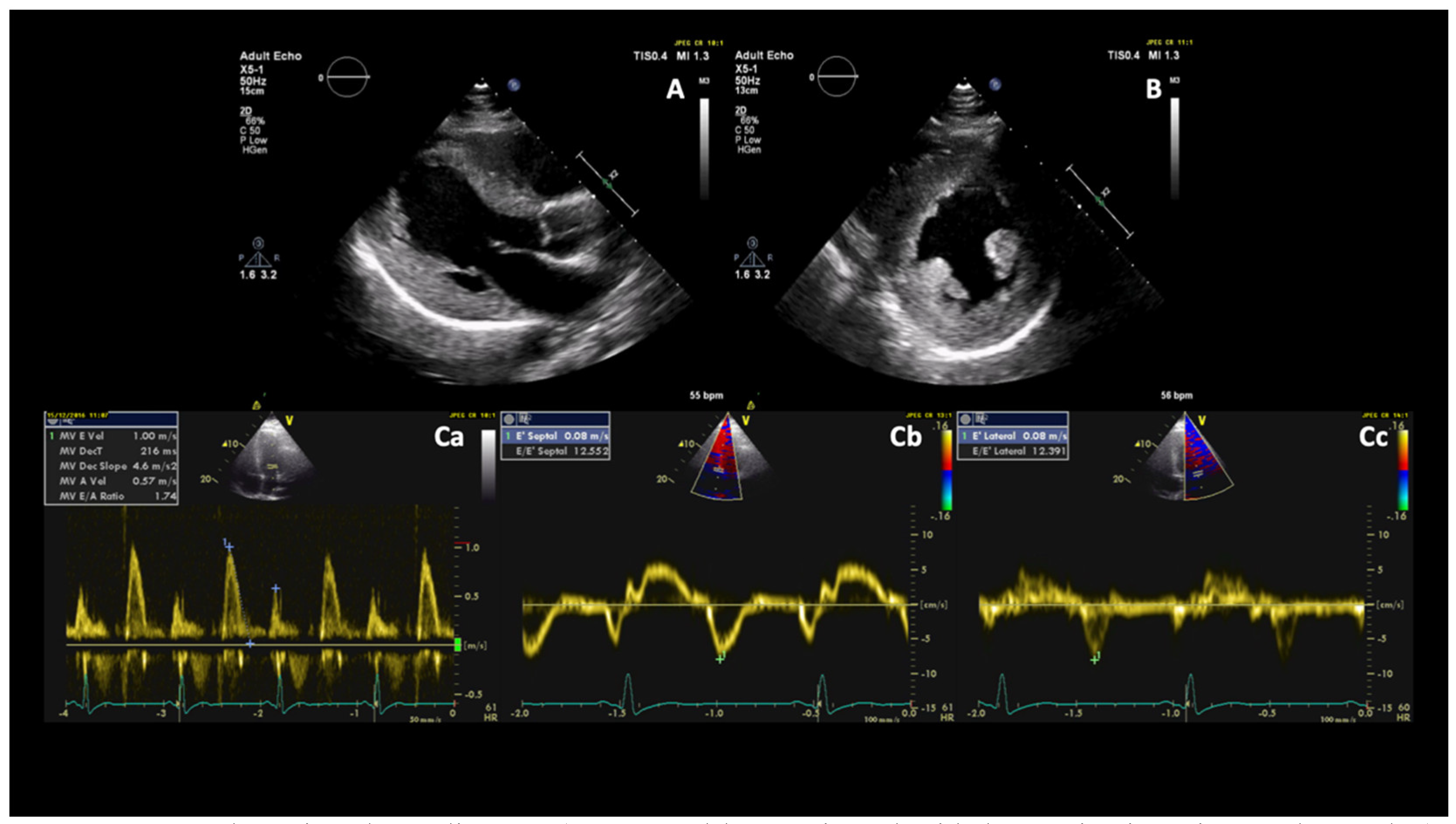 Diagnostics 11 00295 g002 Diagnostics 11 00295 g002
