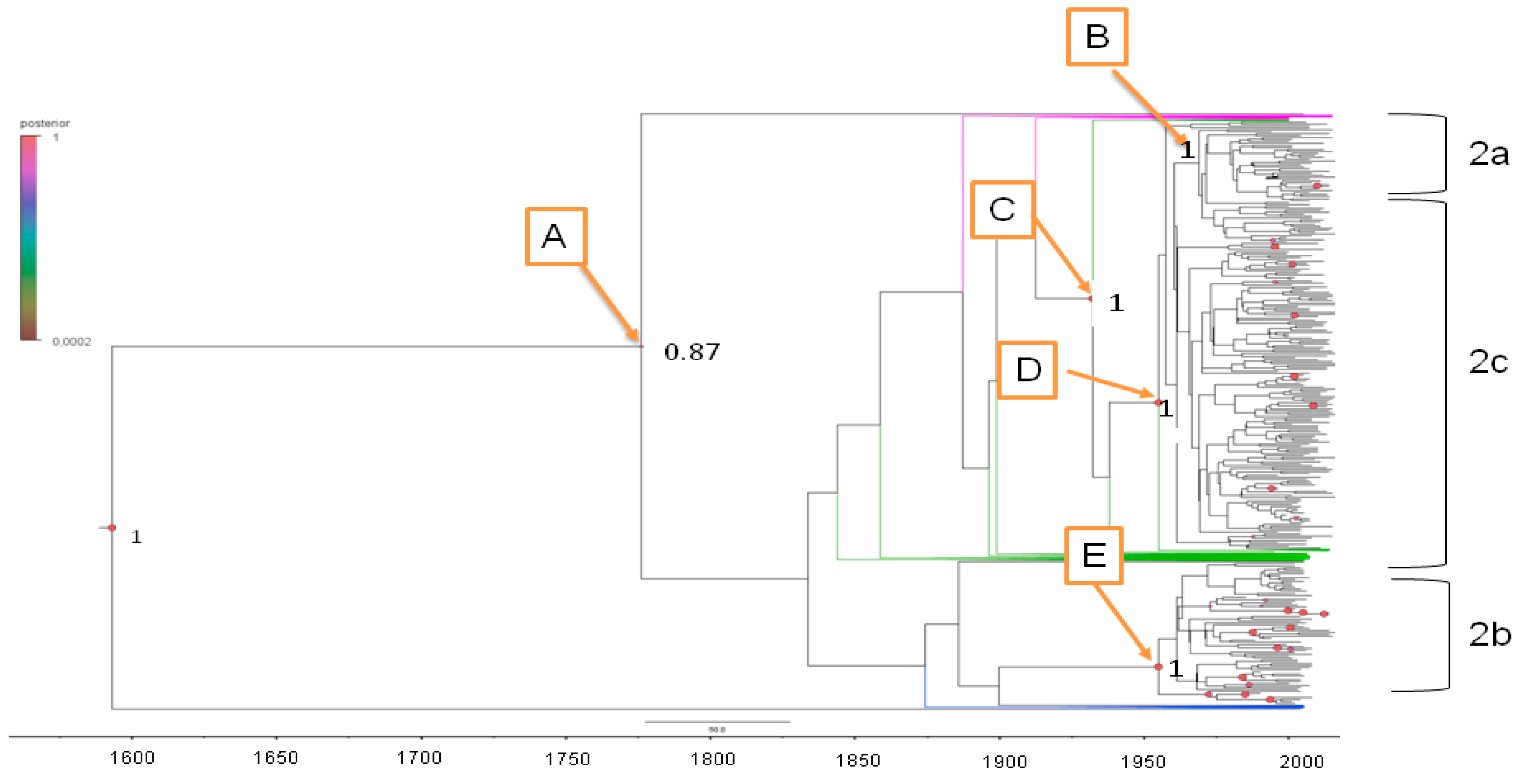 Diagnostics 11 00327 g002 Diagnostics 11 00327 g002