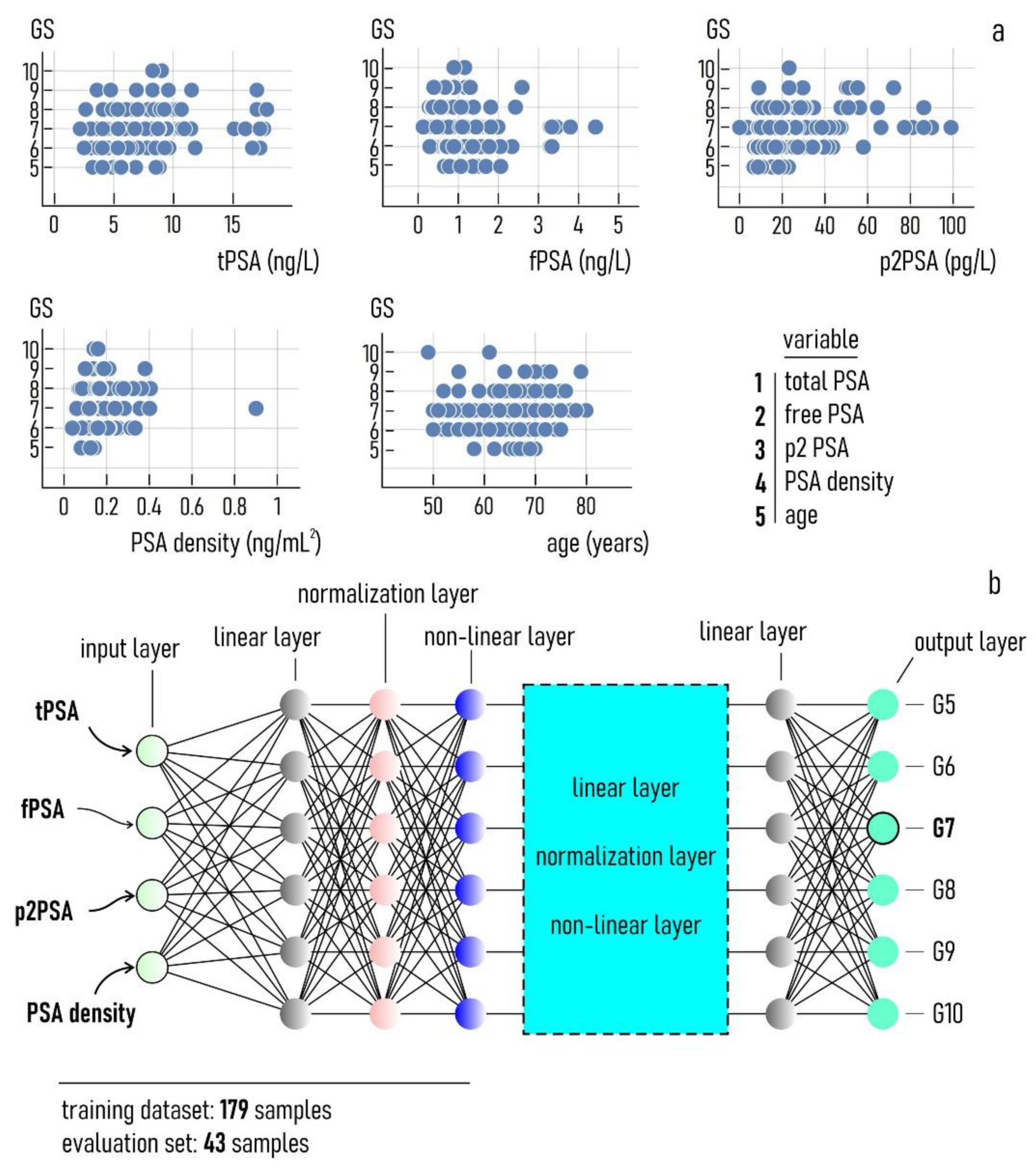 Diagnostics 11 00335 g002 Diagnostics 11 00335 g002