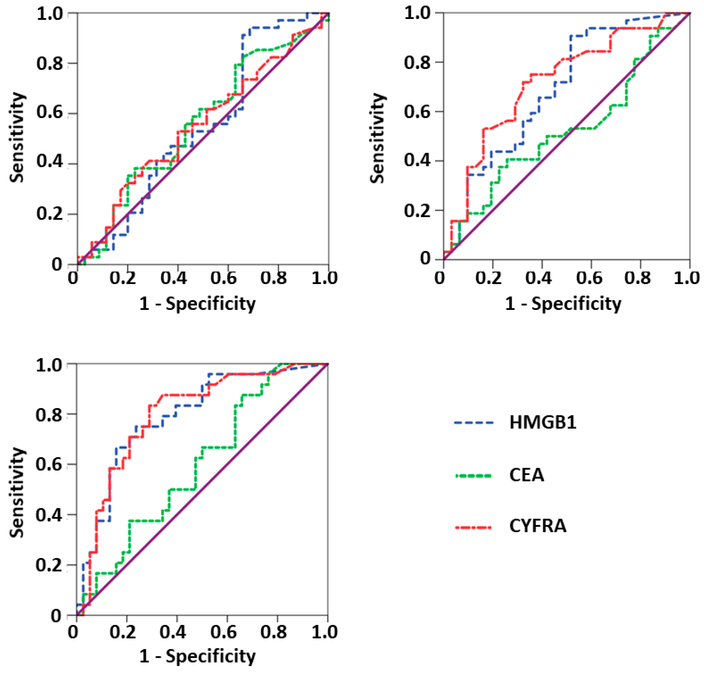 Diagnostics 11 00356 g002 Diagnostics 11 00356 g002