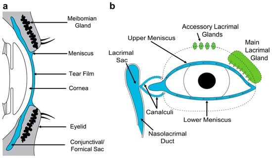 Diagnostics | Free Full-Text | Tear Osmolarity in the Diagnosis of Systemic  Dehydration and Dry Eye Disease
