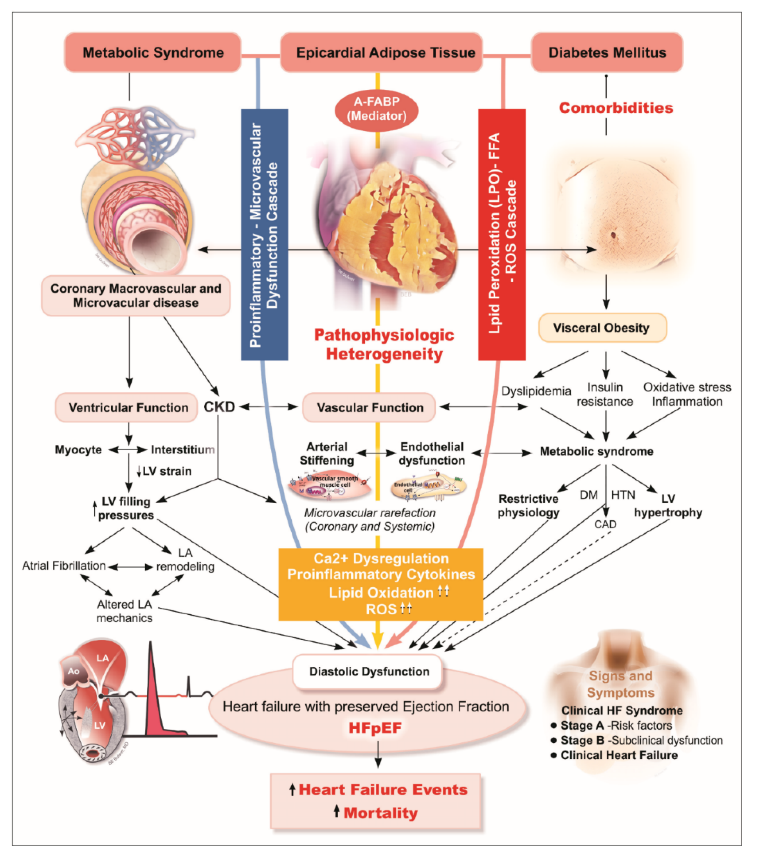 Diagnostics 11 00397 g003