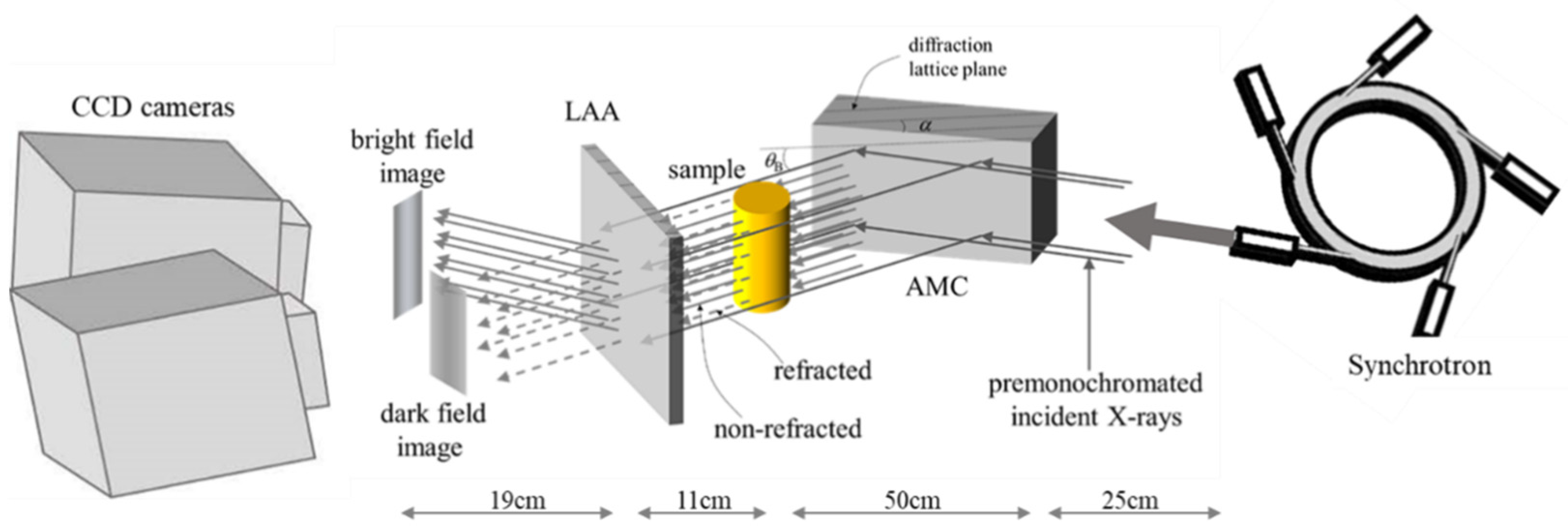 Diagnostics 11 00487 g001