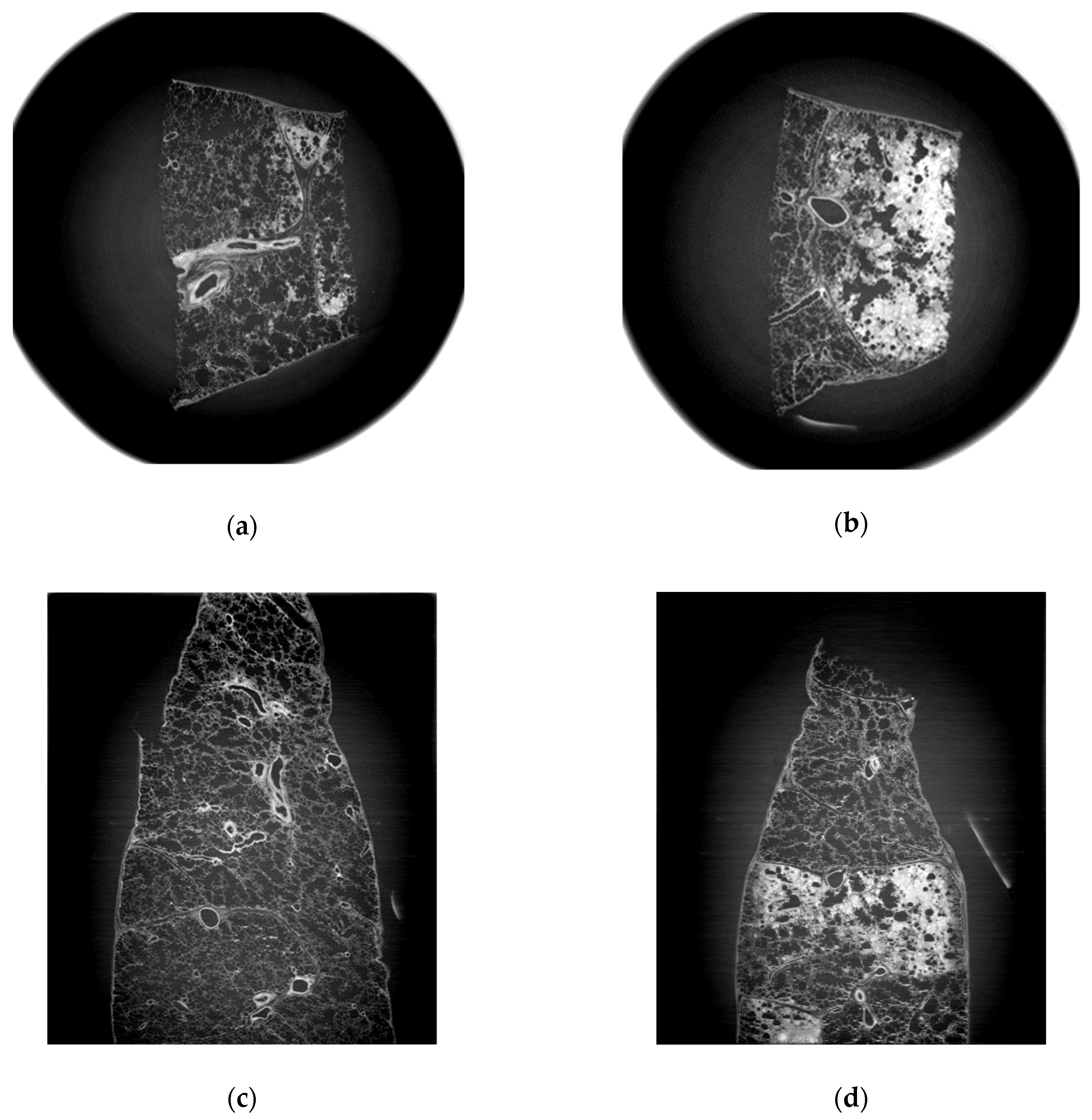 Diagnostics 11 00487 g002