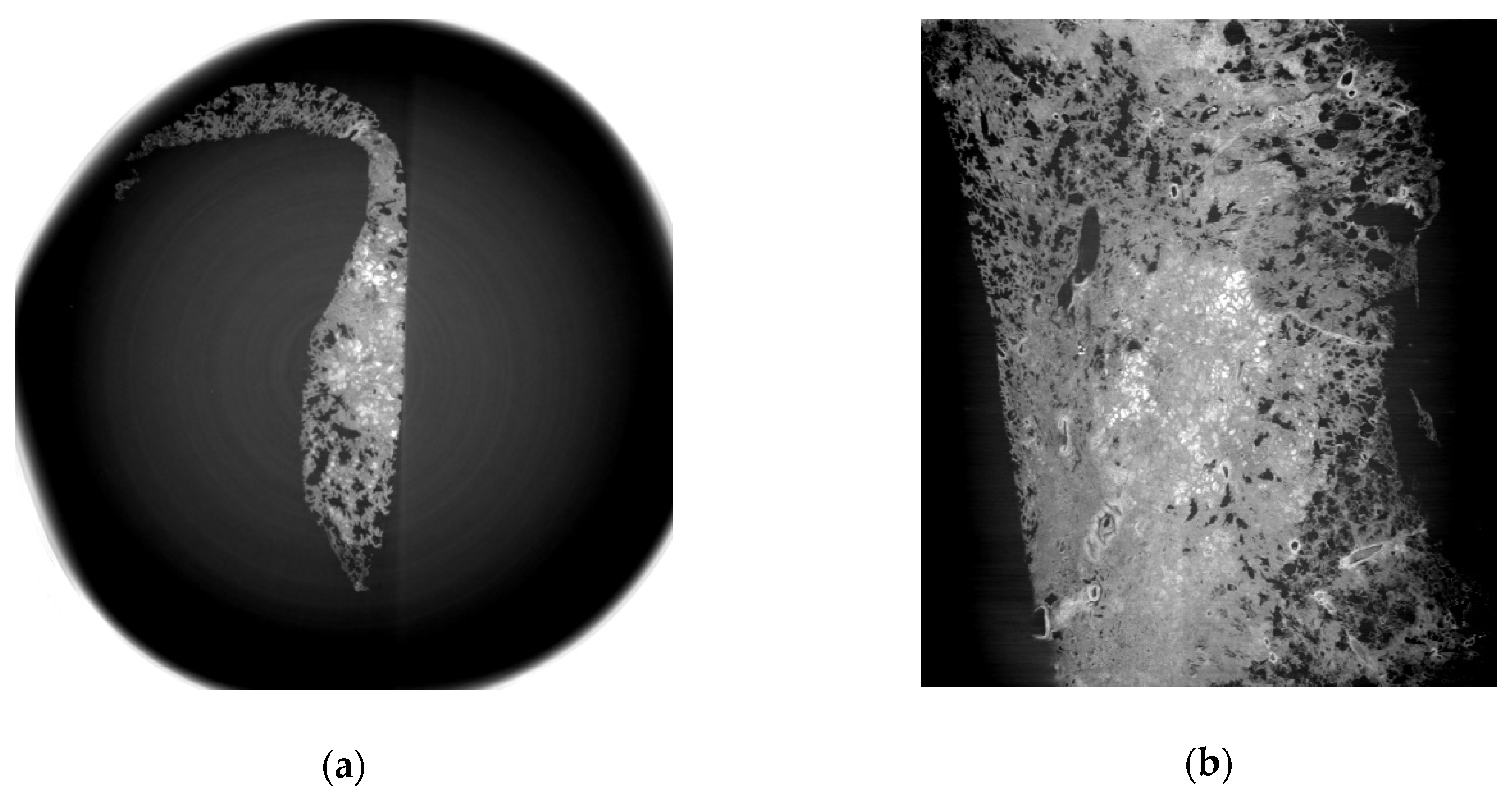 Diagnostics 11 00487 g003