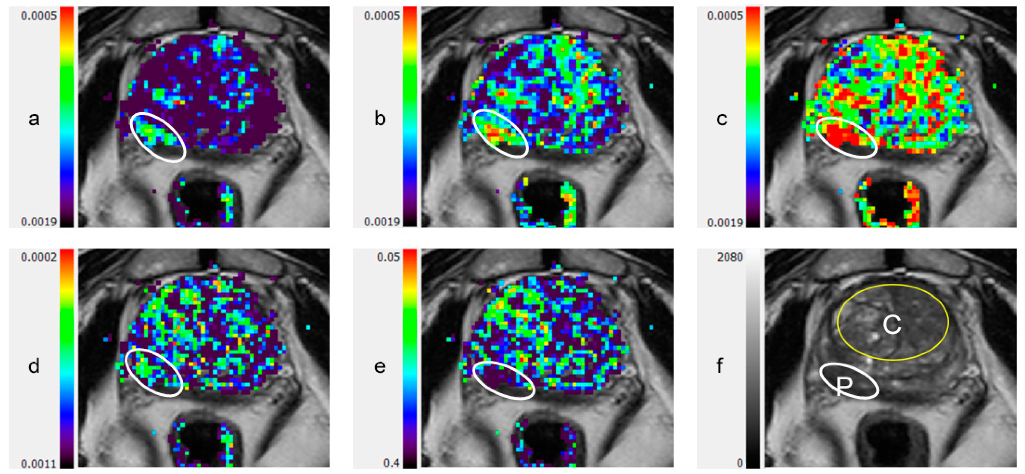 Diagnostics 11 00563 g001 Diagnostics 11 00563 g001