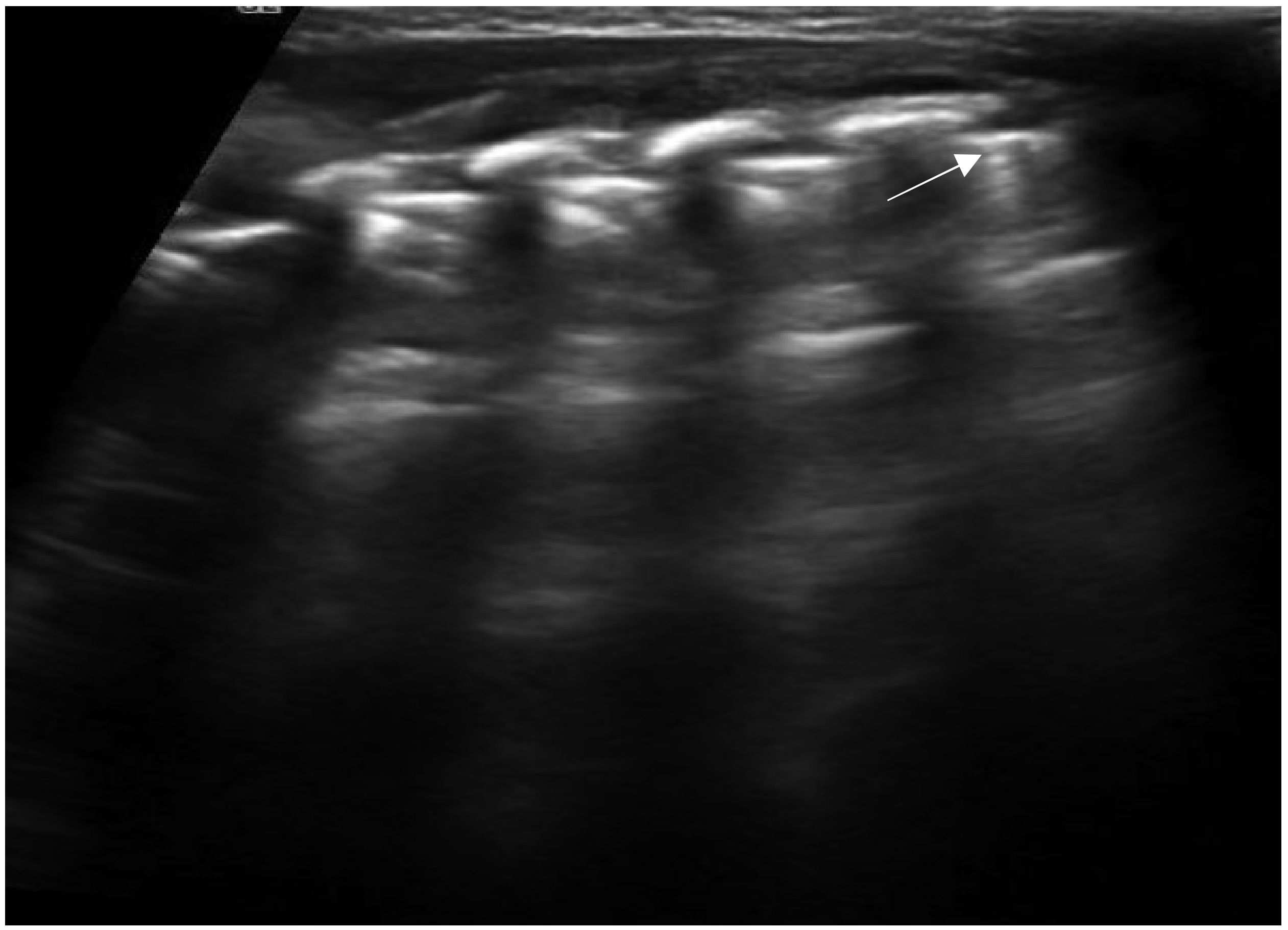 Diagnostics 11 00652 g002