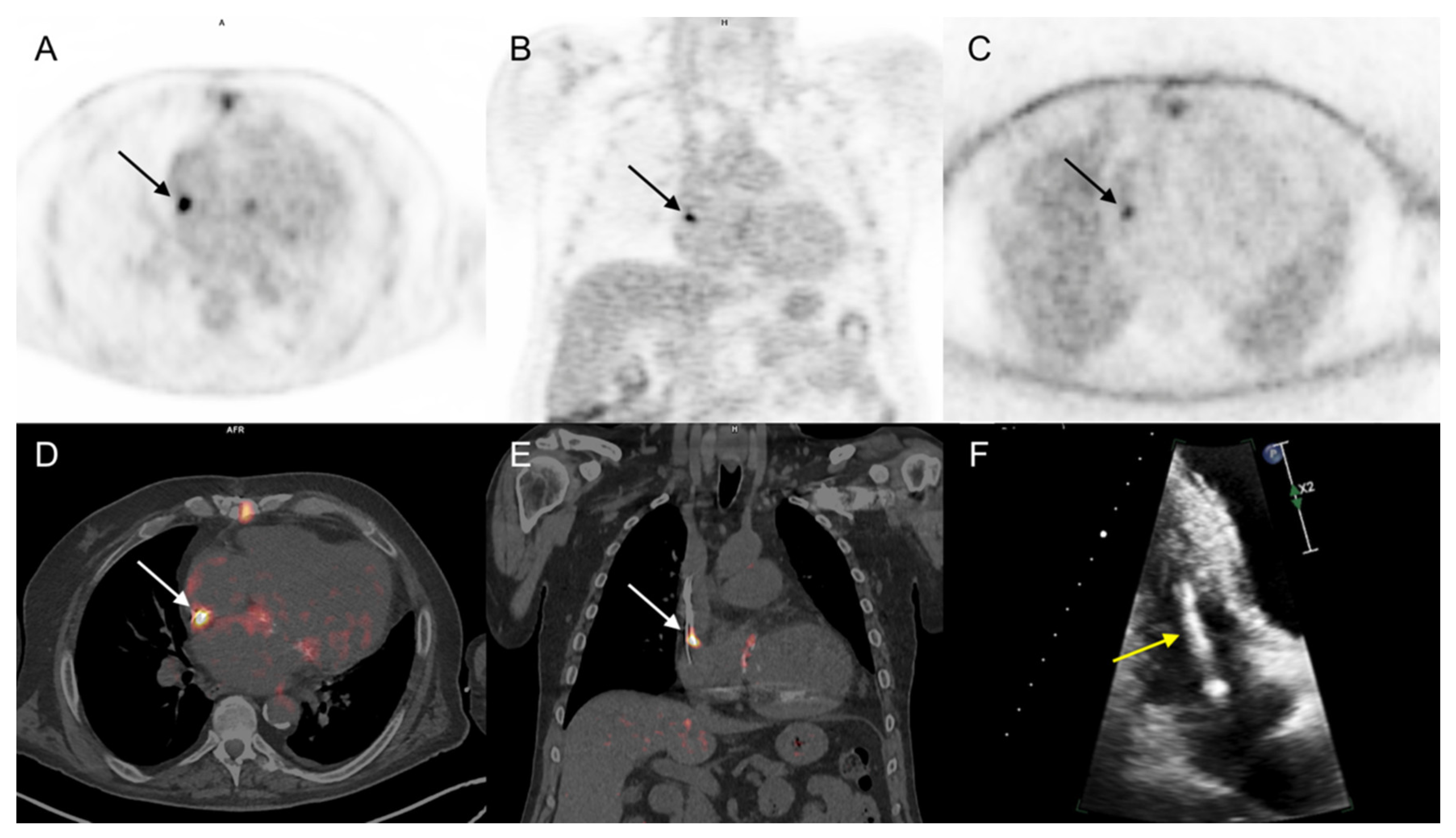 Diagnostics 11 00720 g003 Diagnostics 11 00720 g003