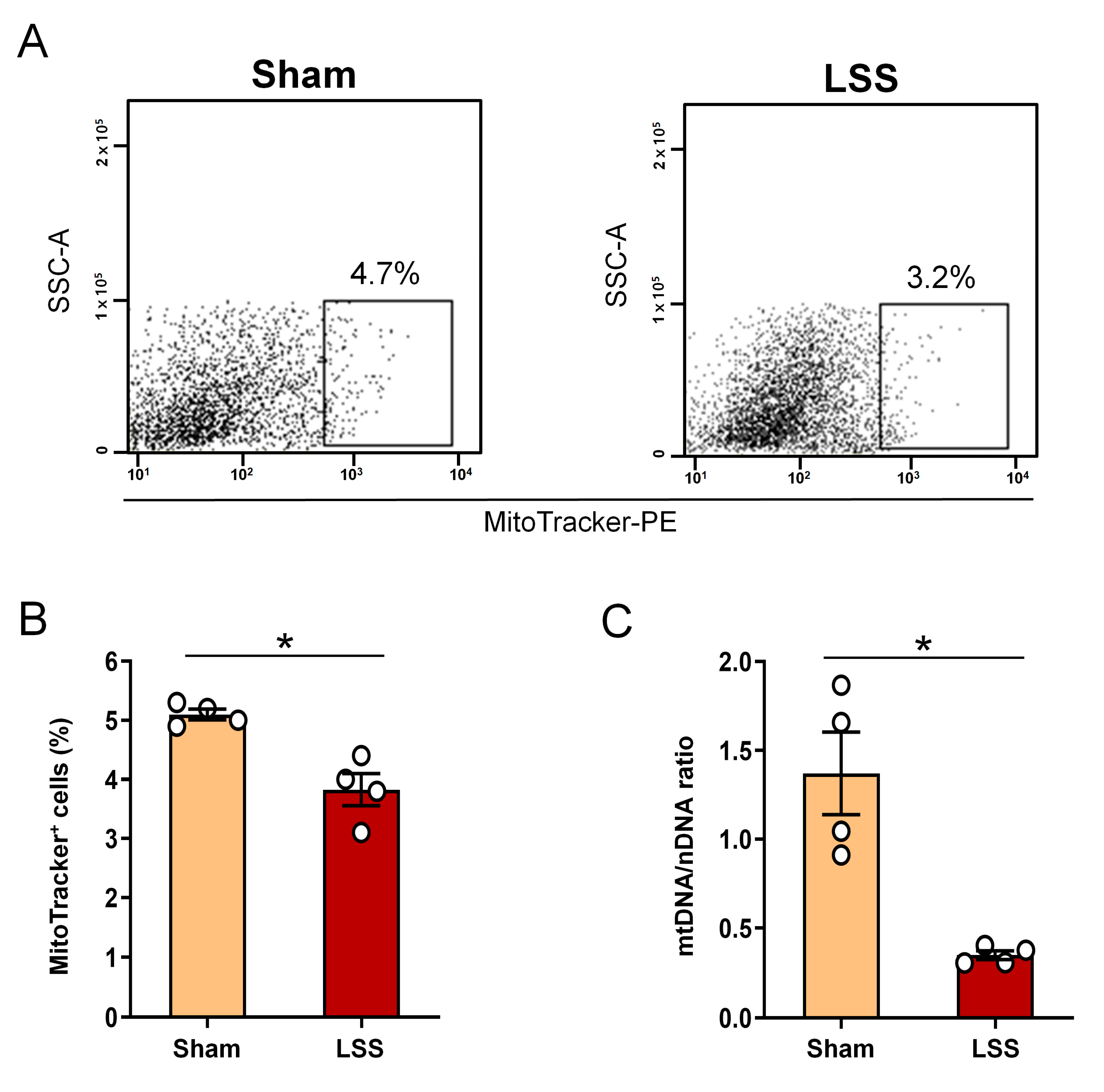 Diagnostics 11 00748 g003 Diagnostics 11 00748 g003