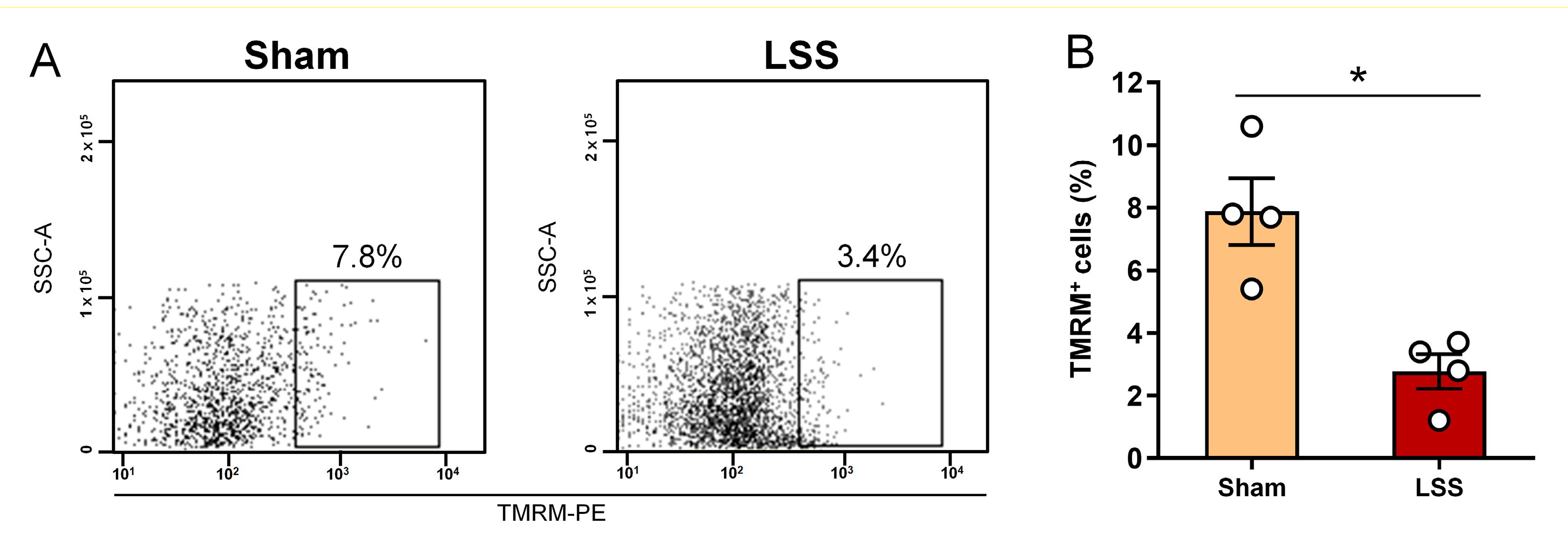 Diagnostics 11 00748 g005 Diagnostics 11 00748 g005