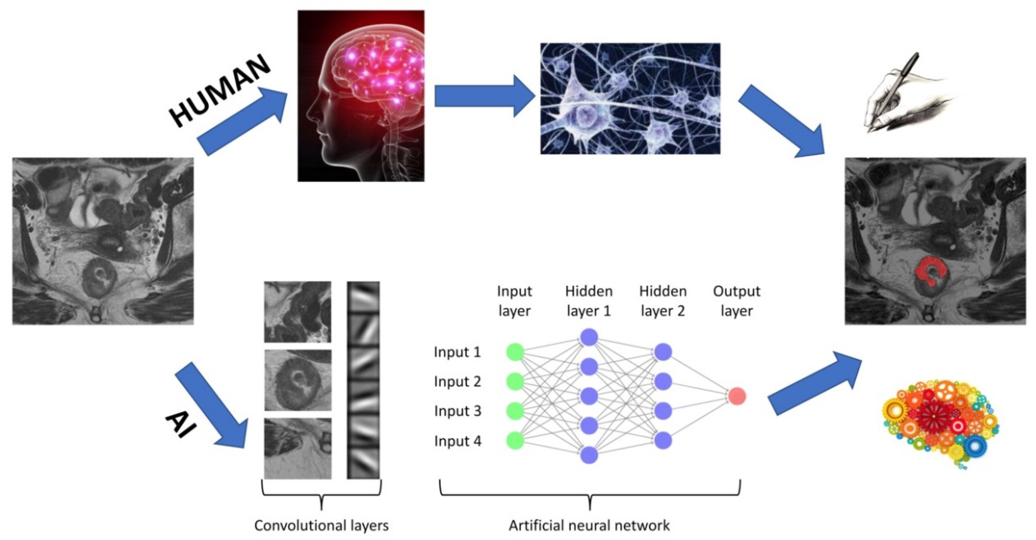 Diagnostics 11 00756 g003