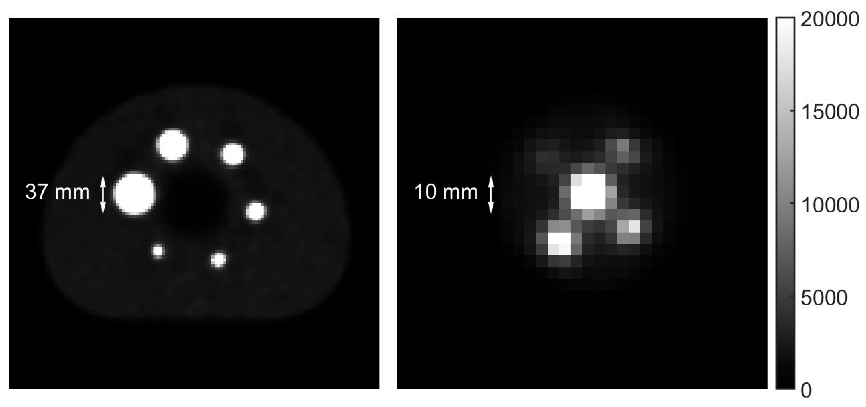 Diagnostics 11 00847 g001 Diagnostics 11 00847 g001