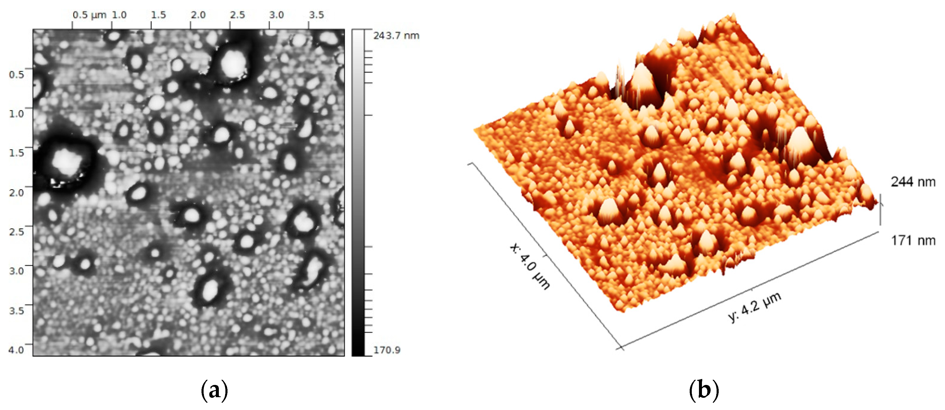 Diagnostics 11 00917 g003a
