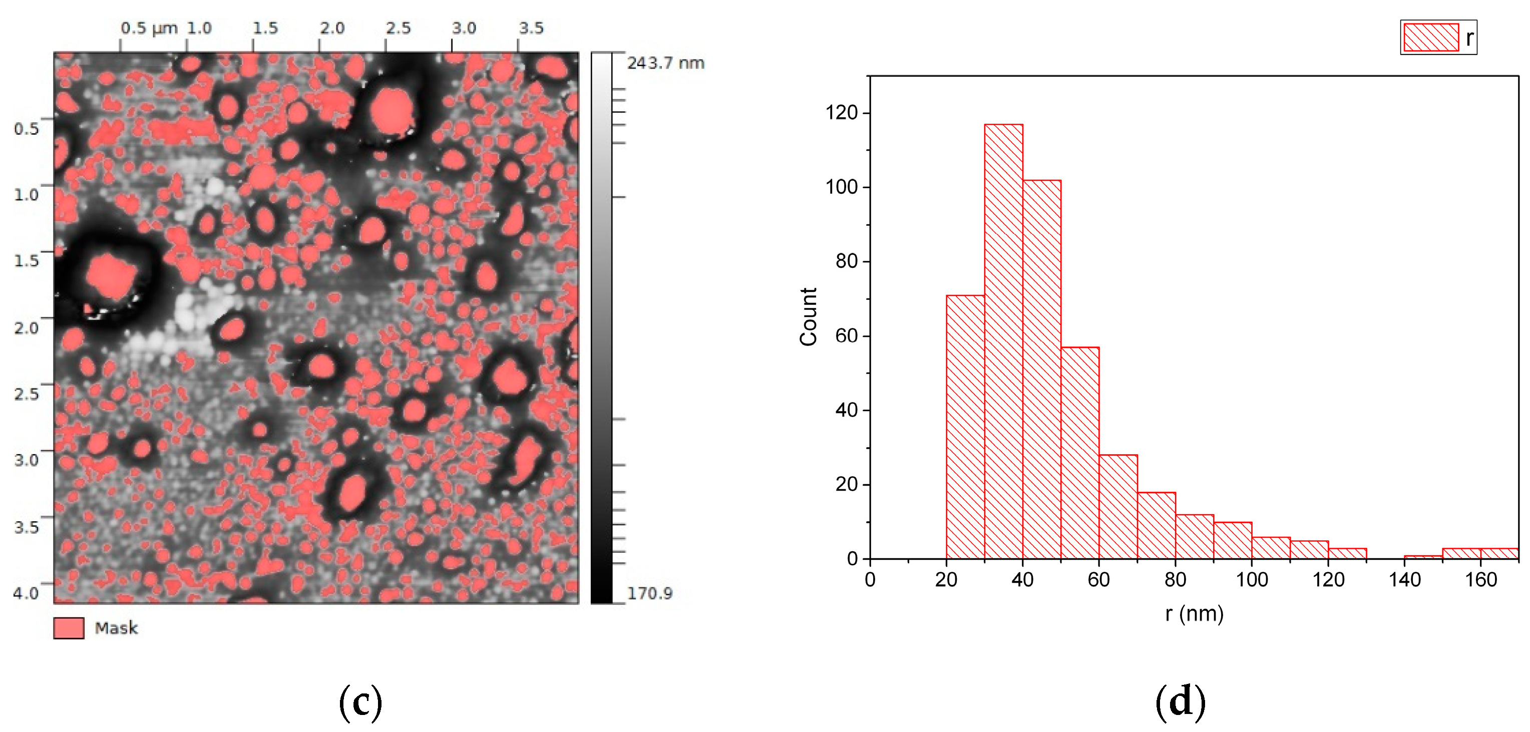 Diagnostics 11 00917 g003b