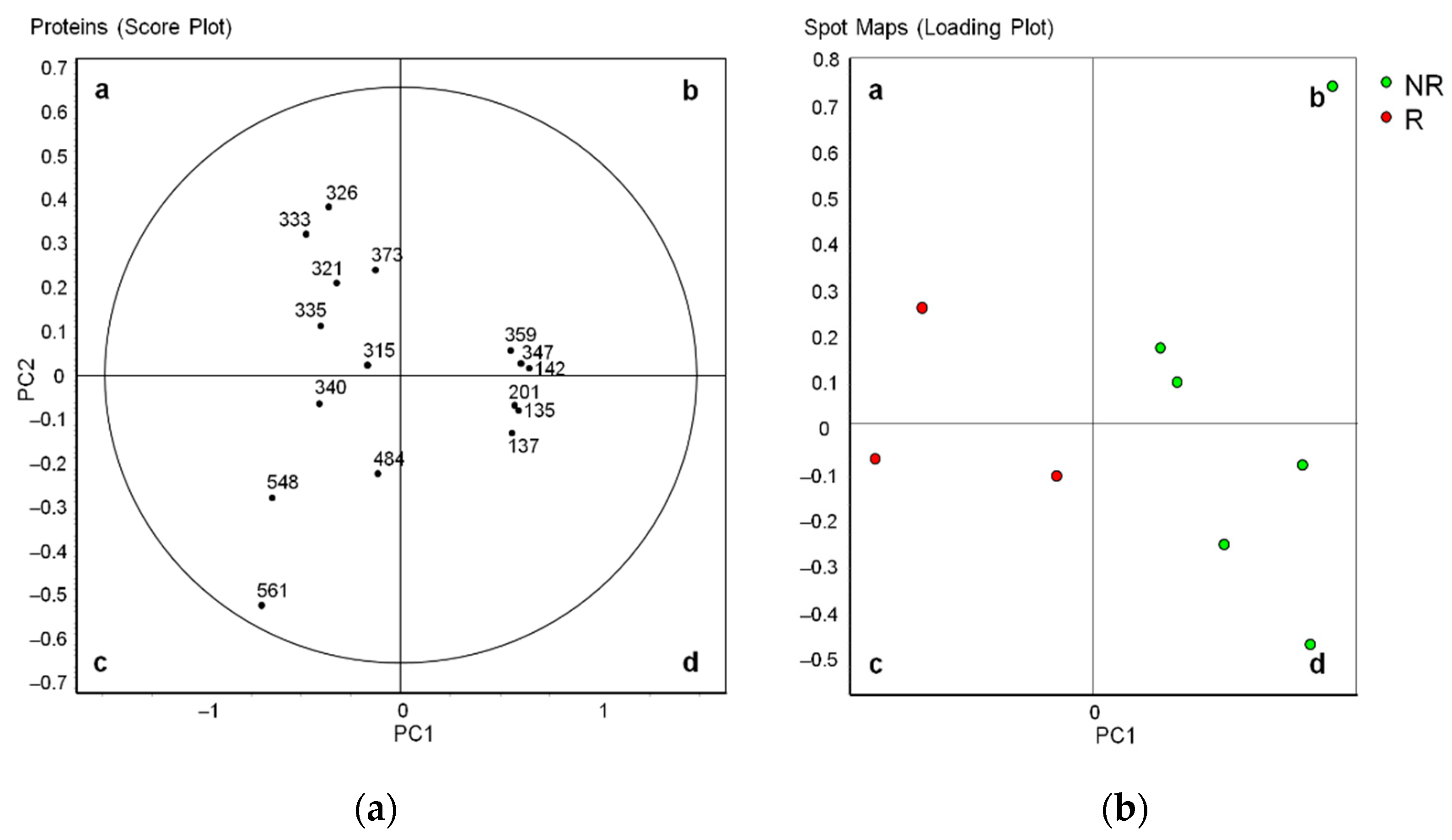 Diagnostics 11 00917 g005