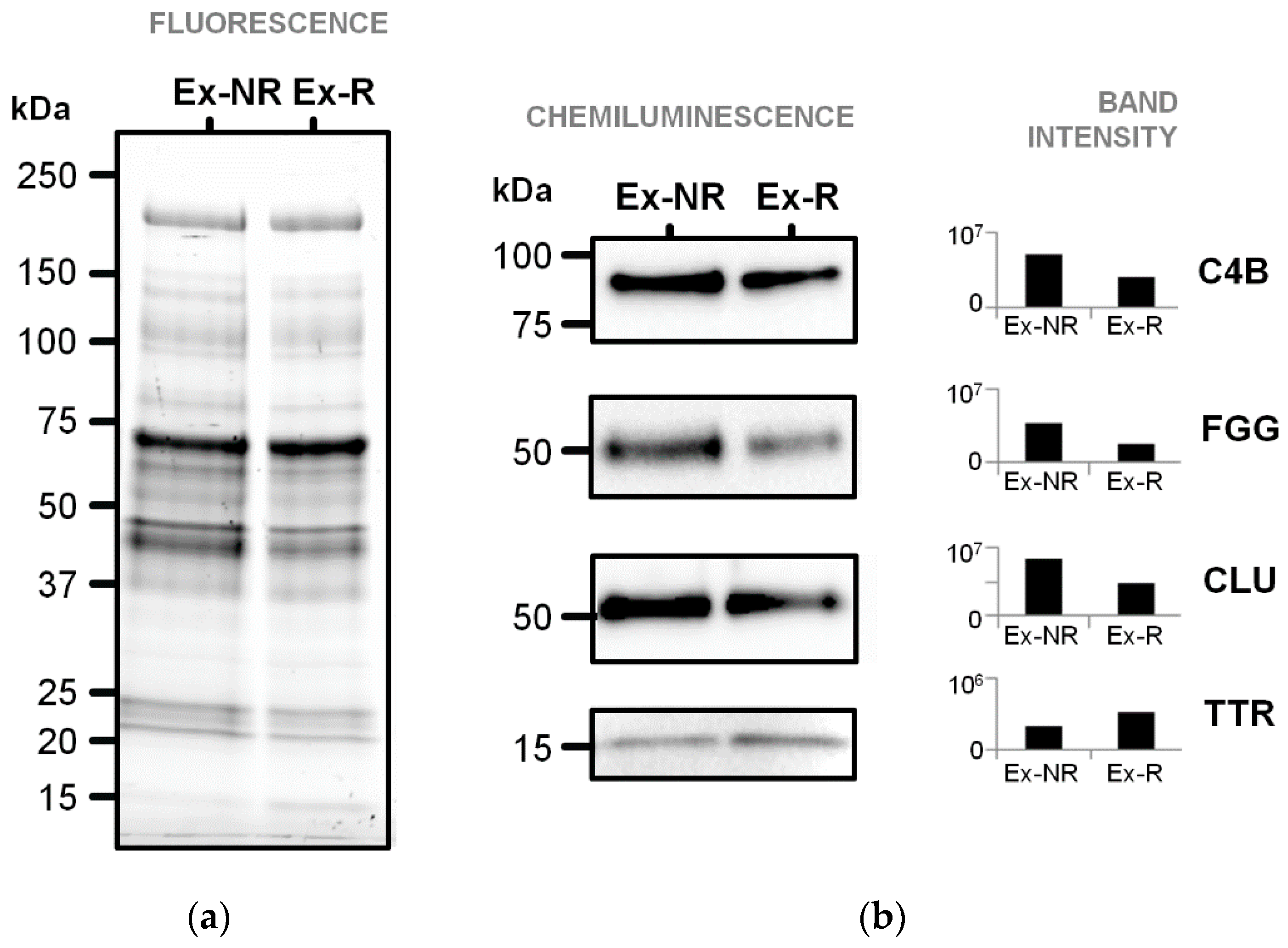 Diagnostics 11 00917 g006