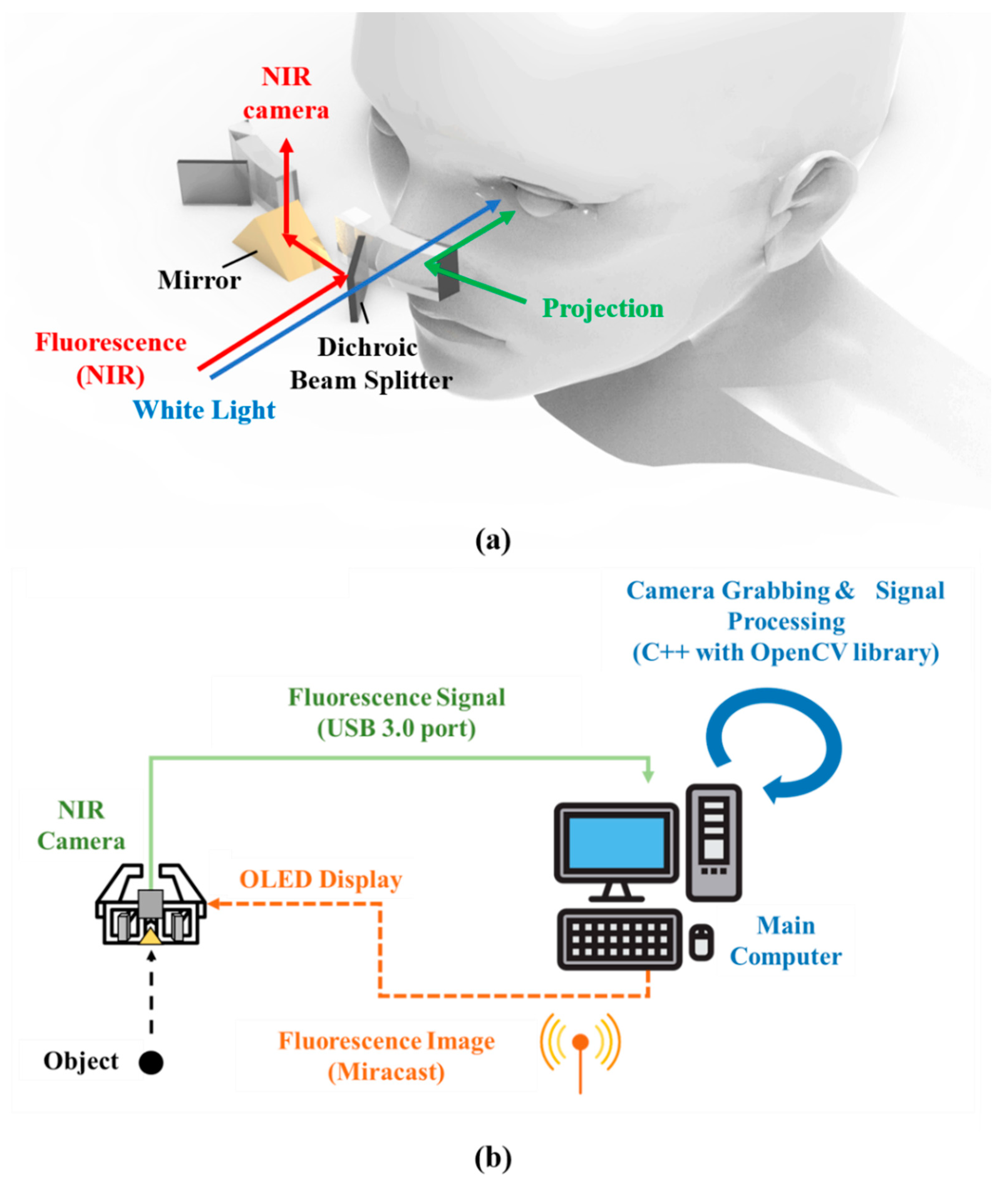 Diagnostics 11 00927 g002 Diagnostics 11 00927 g002