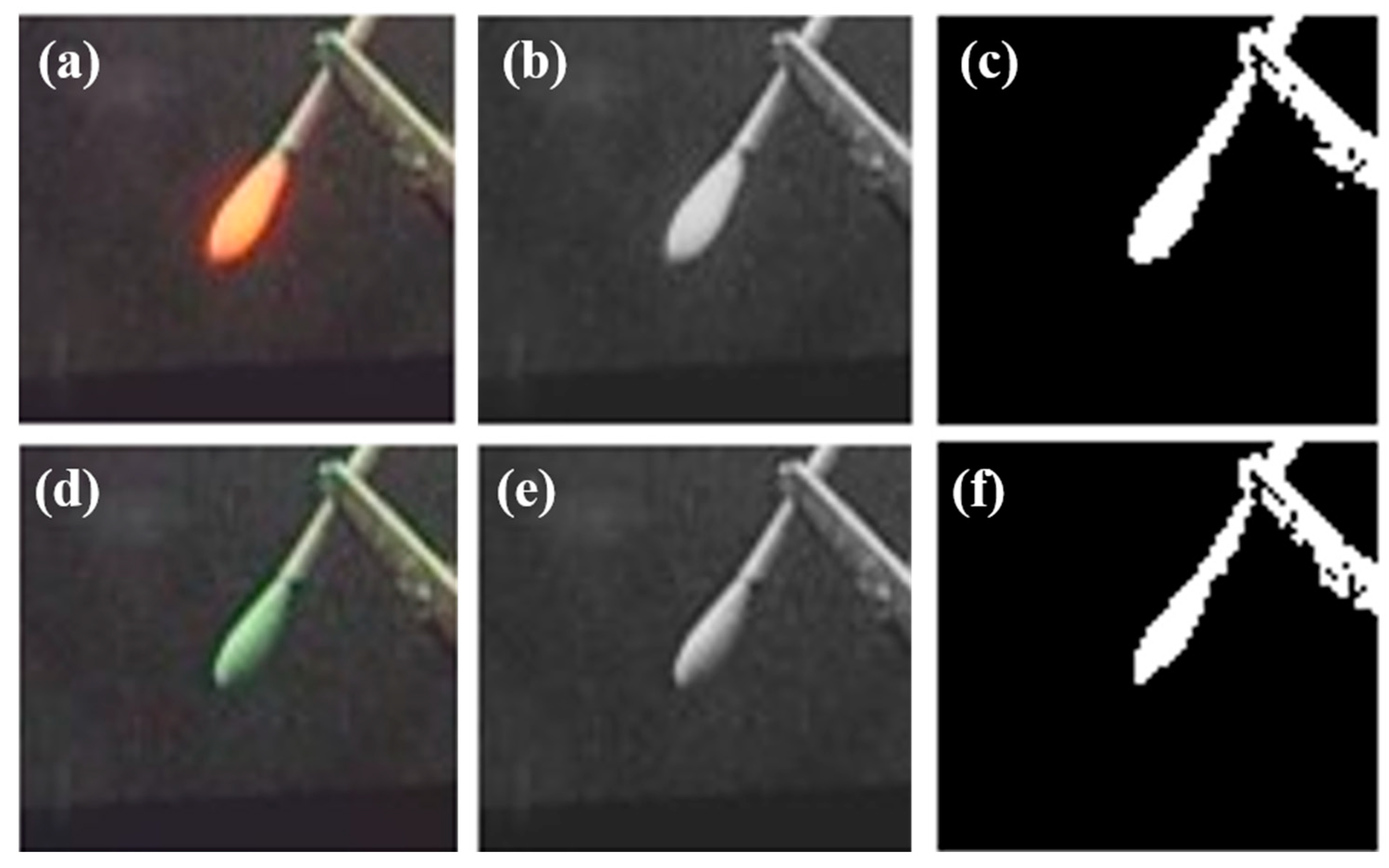 Diagnostics 11 00927 g004 Diagnostics 11 00927 g004