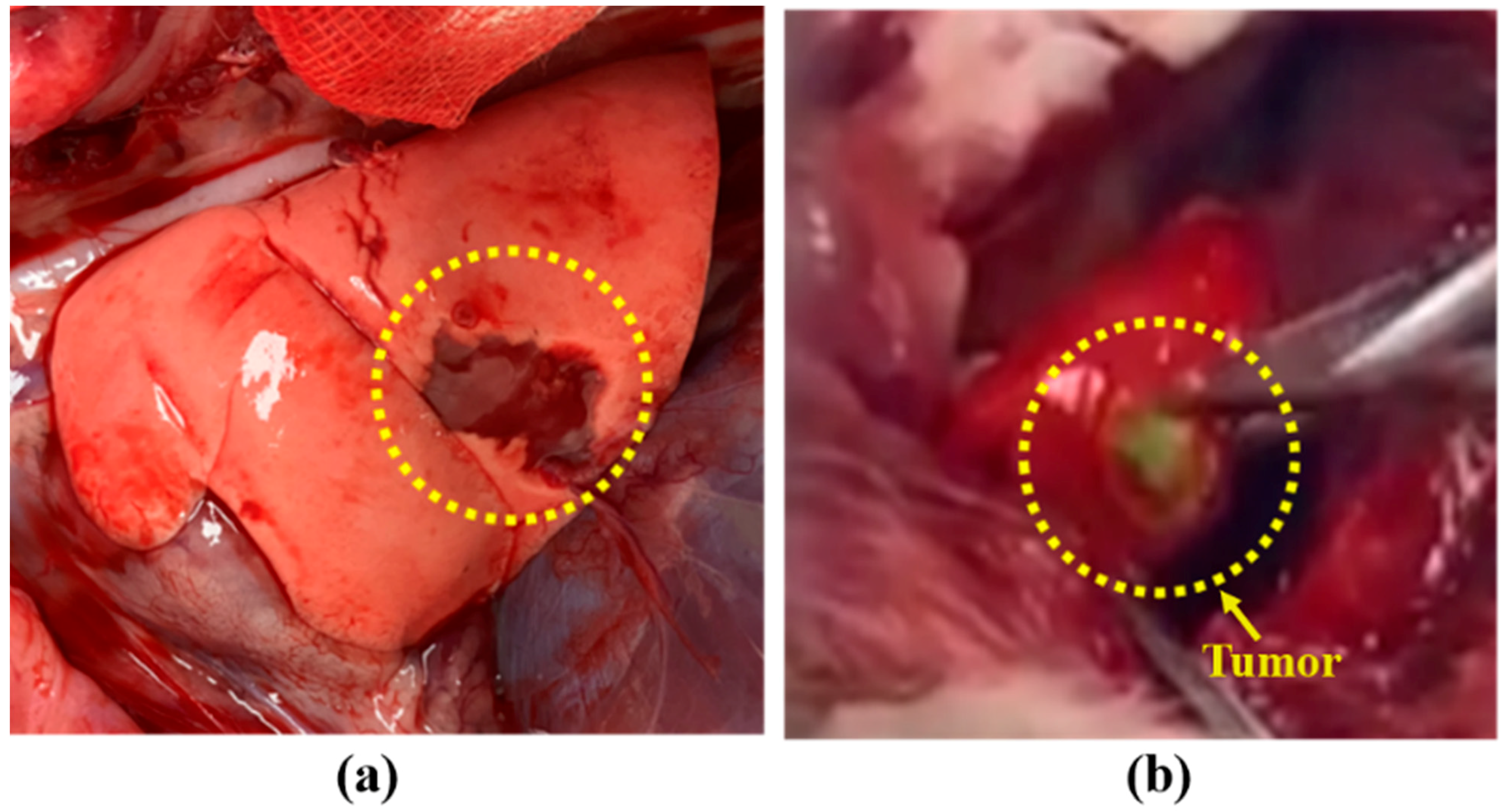 Diagnostics 11 00927 g006 Diagnostics 11 00927 g006