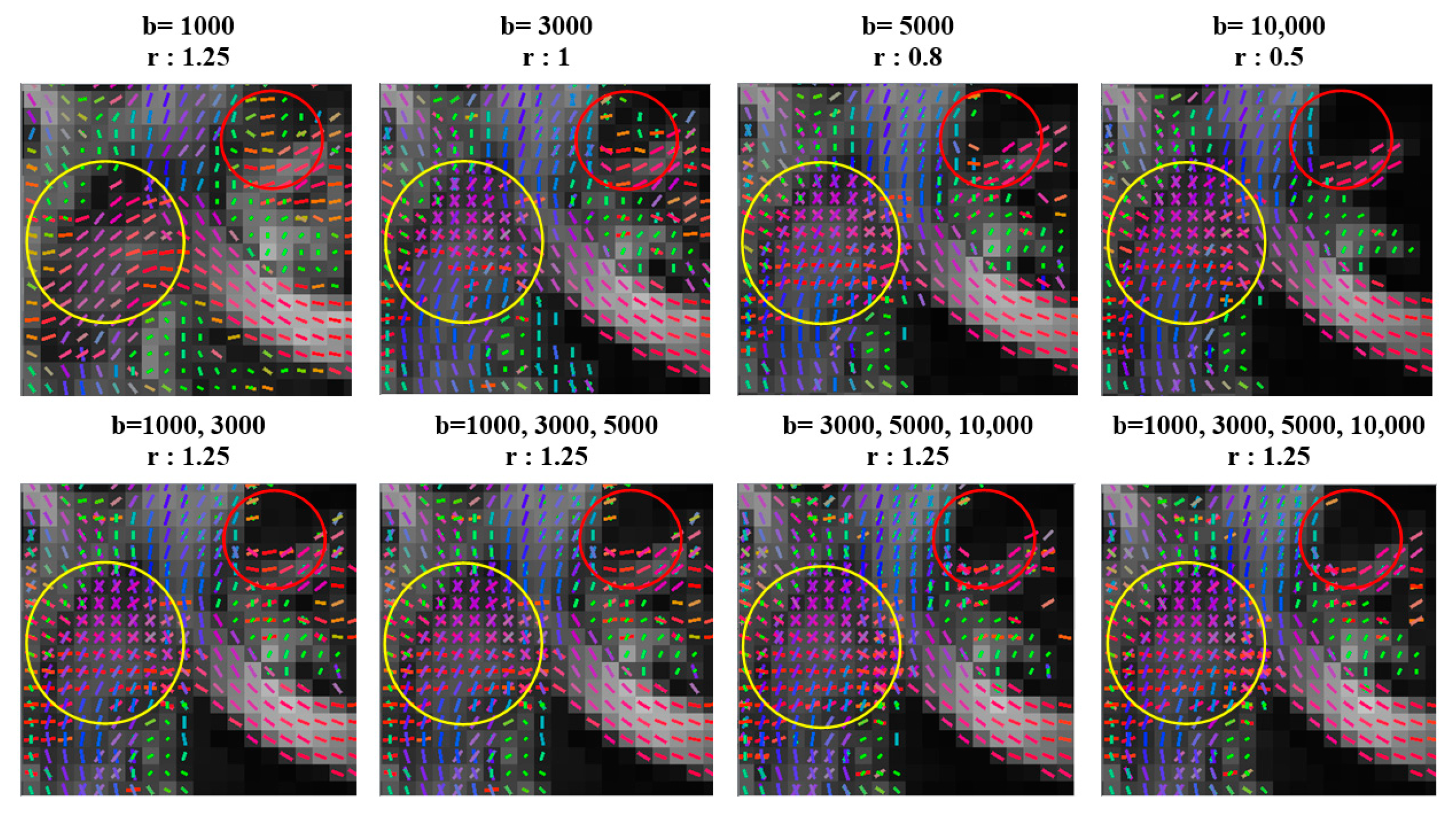 Diagnostics 11 00970 g002