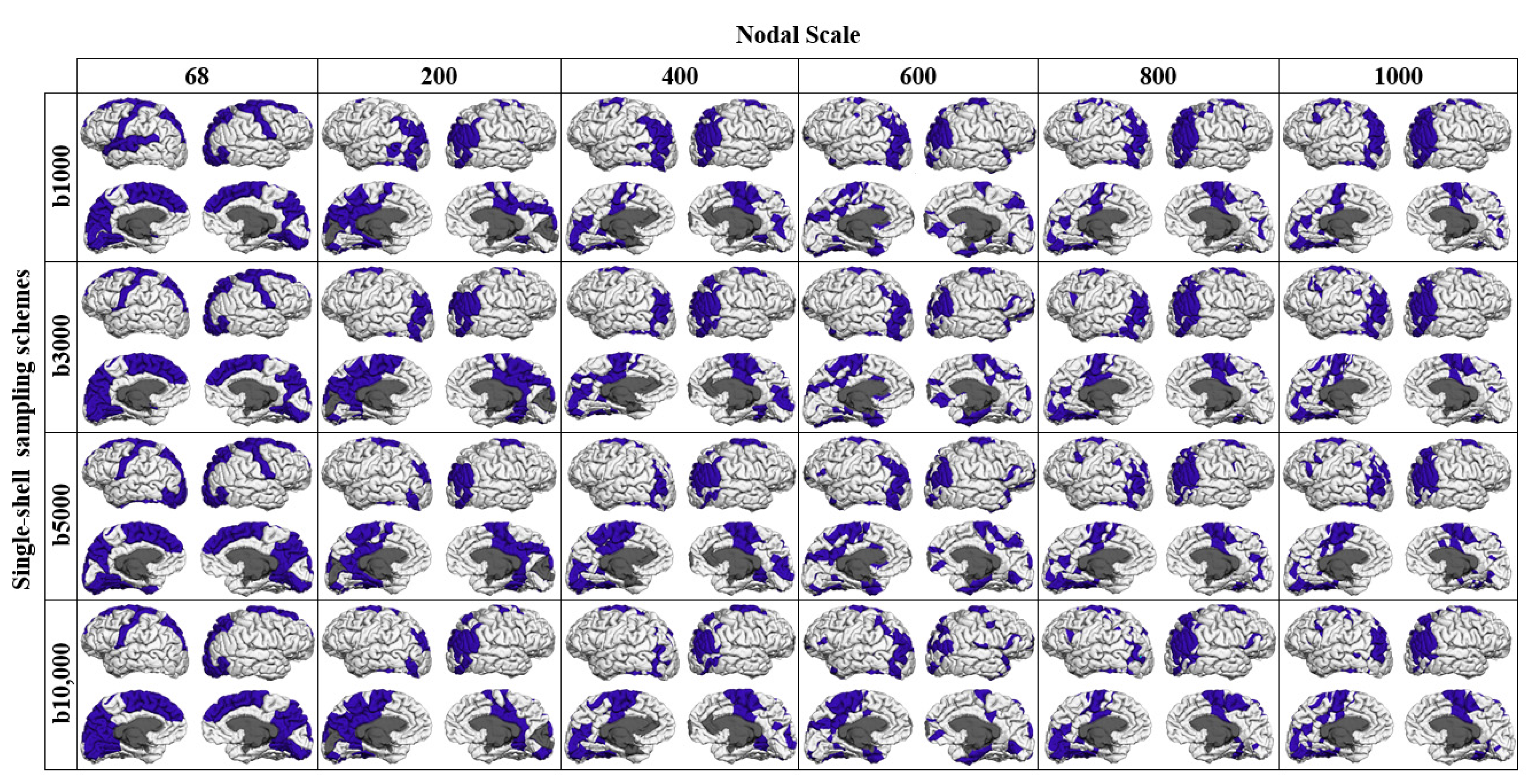 Diagnostics 11 00970 g008