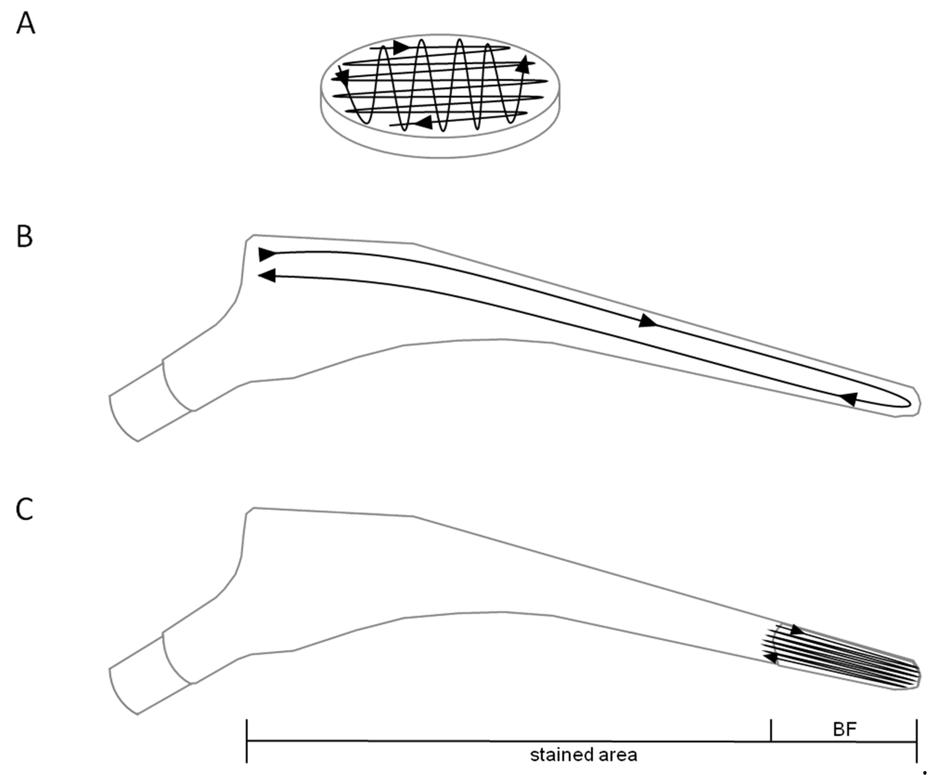 Diagnostics 11 01038 g001 Diagnostics 11 01038 g001
