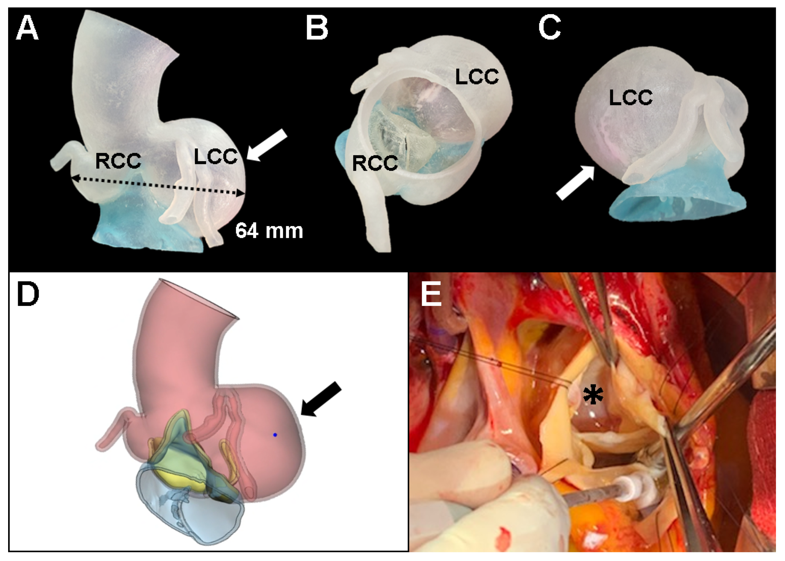 Diagnostics 11 01057 g002