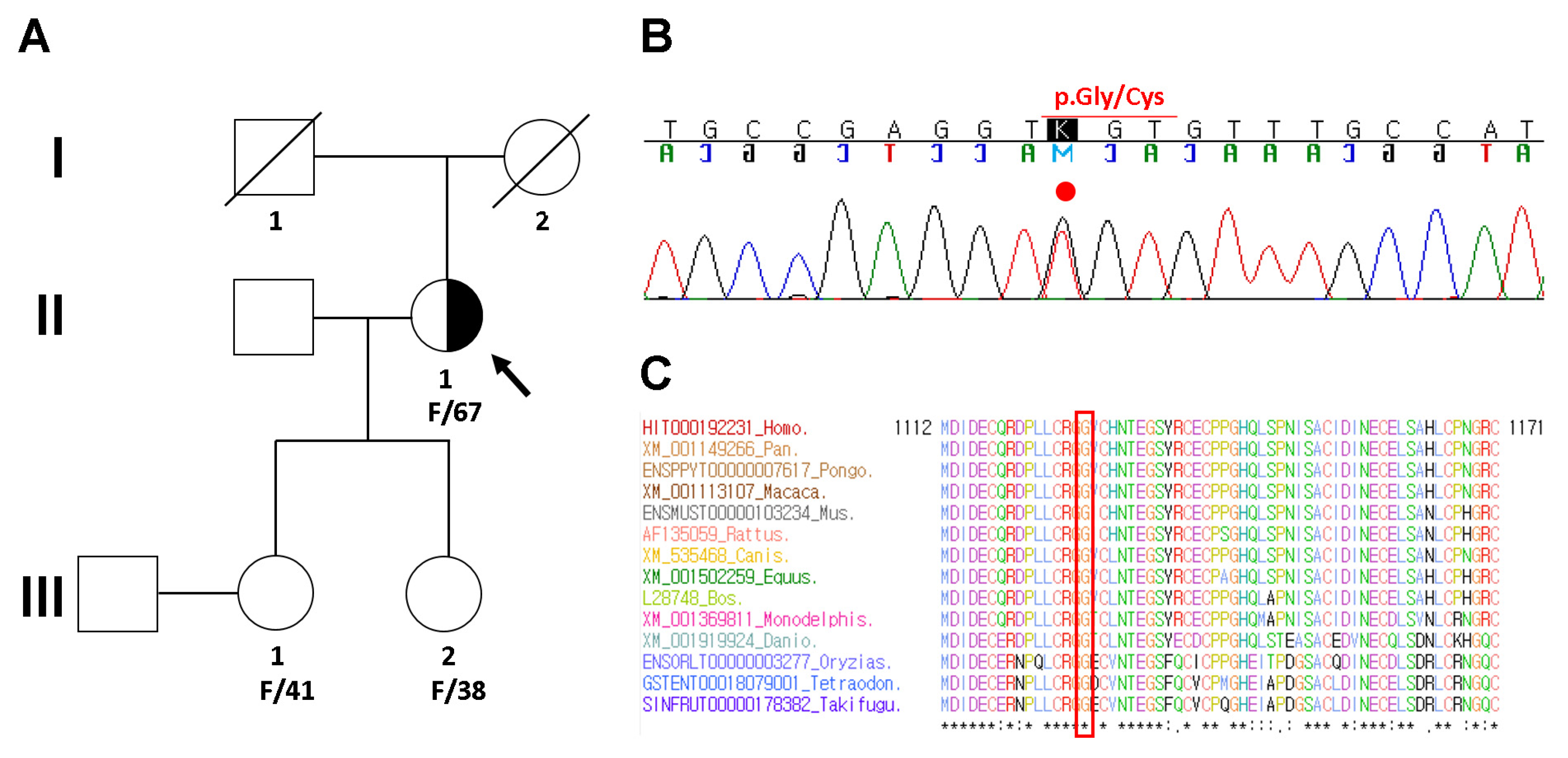 Diagnostics 11 01057 g003